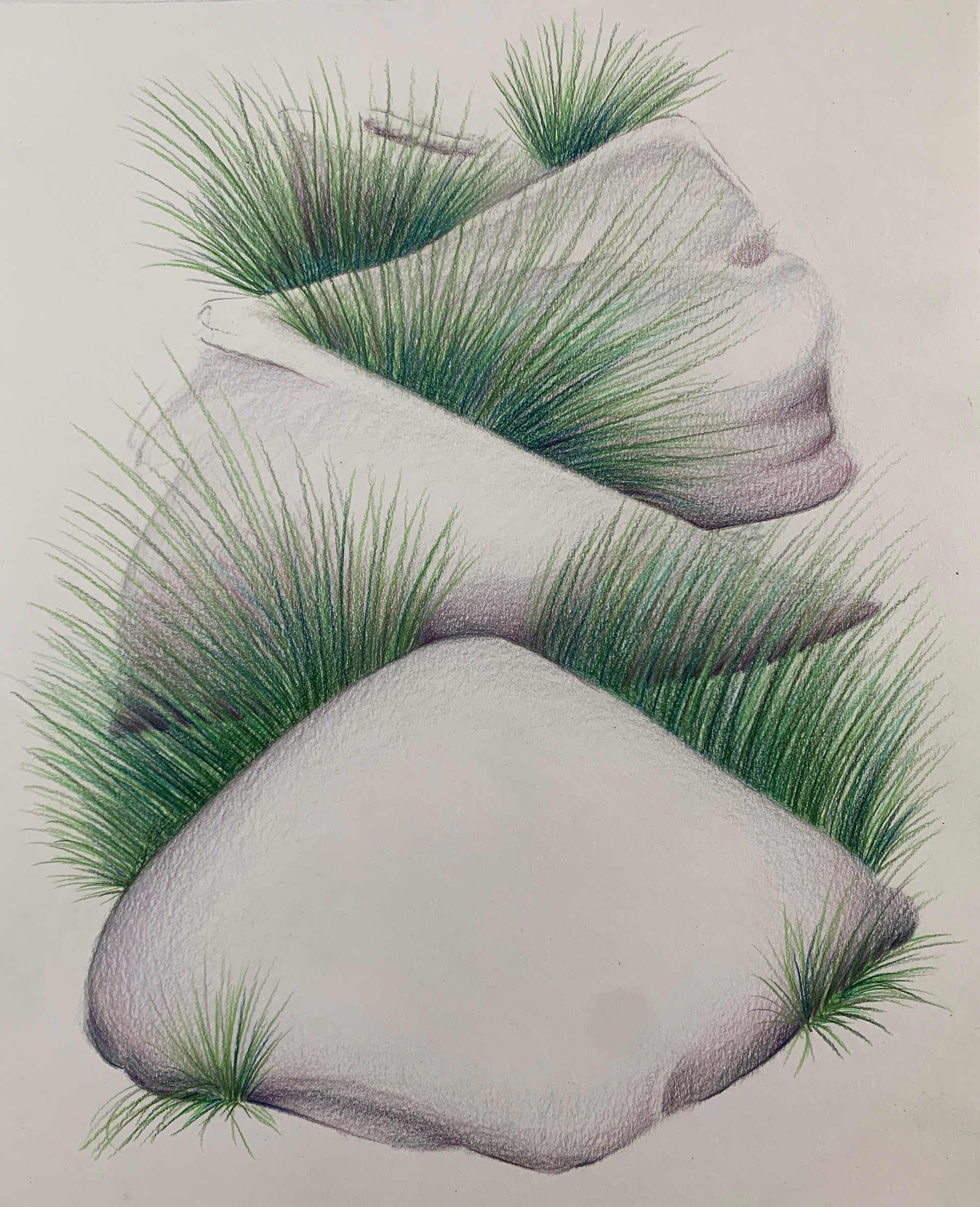Stone Grass Study 4
