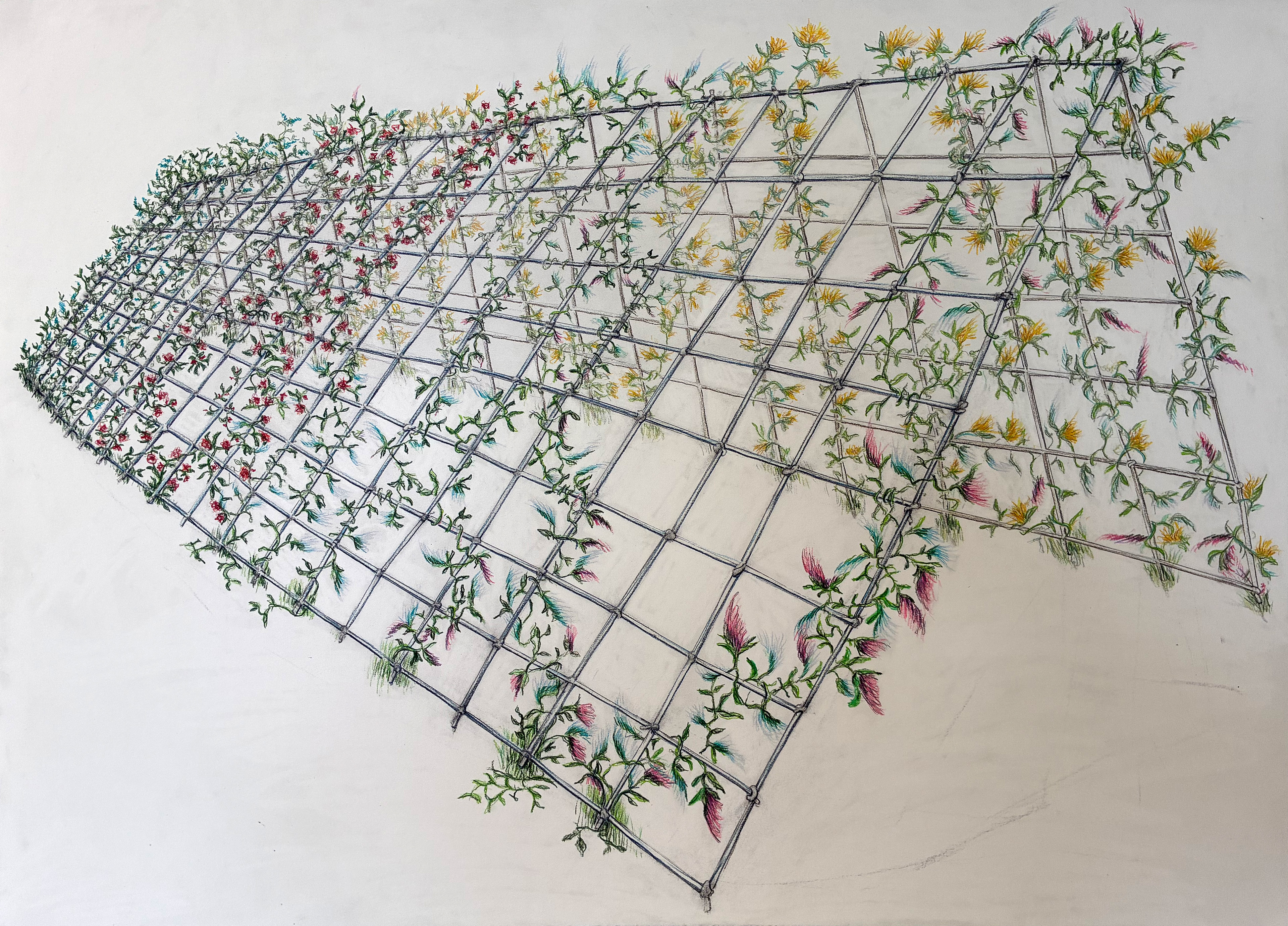 Trellis 1