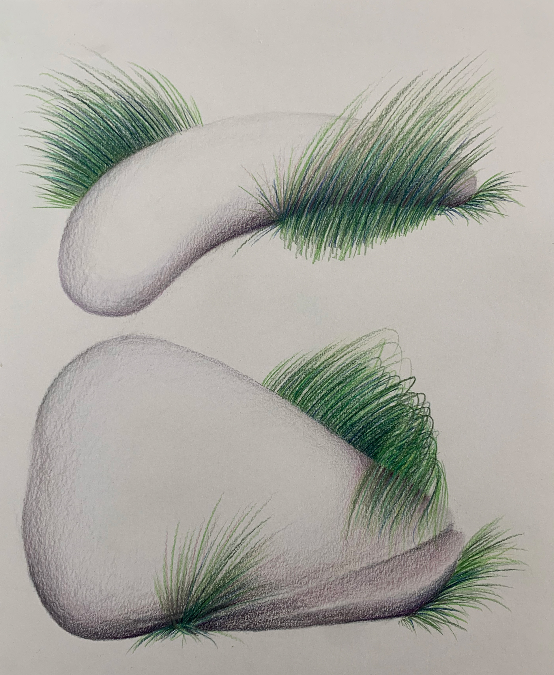 Stone Grass Study 3