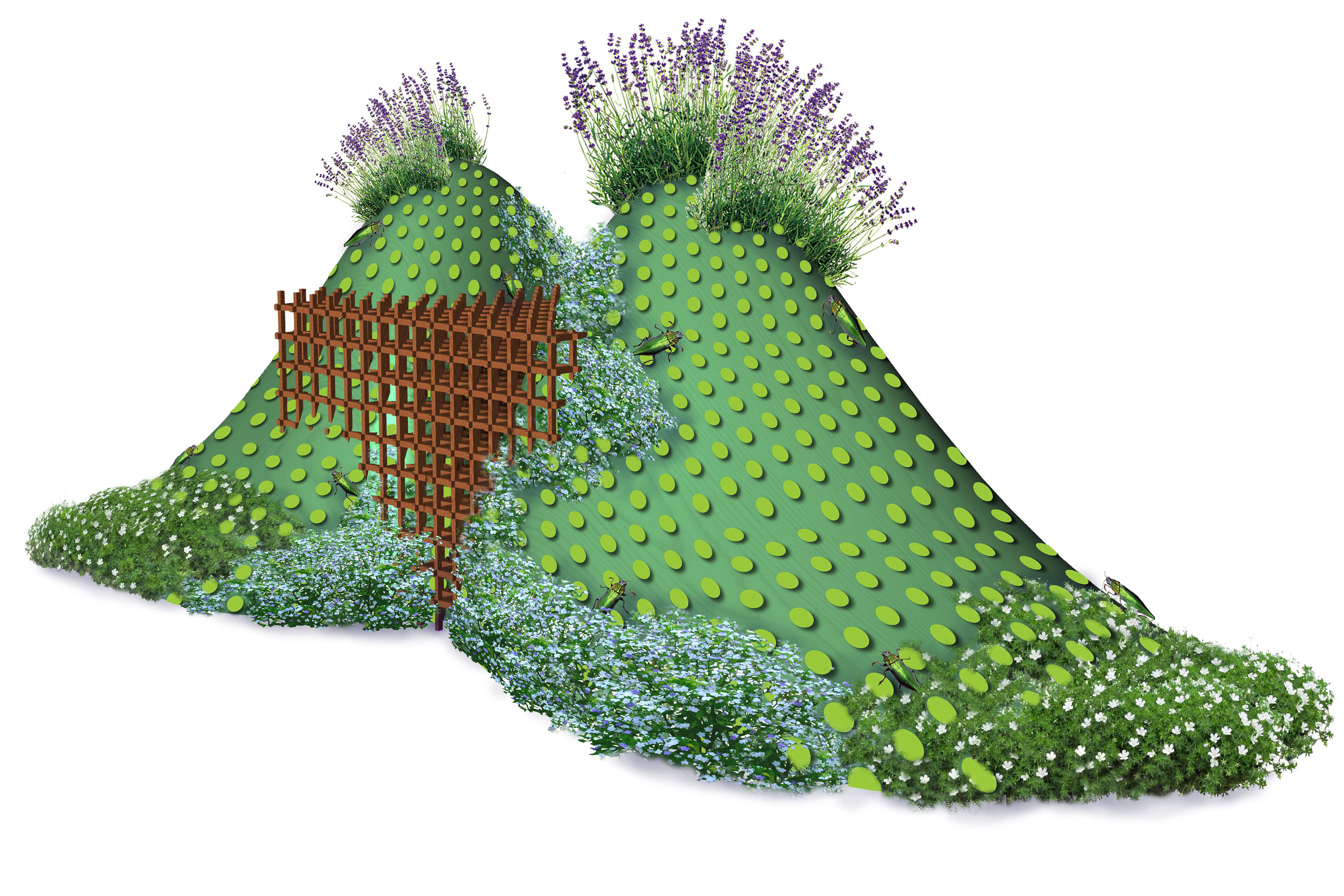 Mounds, Dots, and Flowers