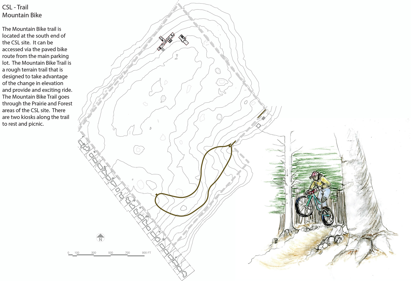 Mountain Bike