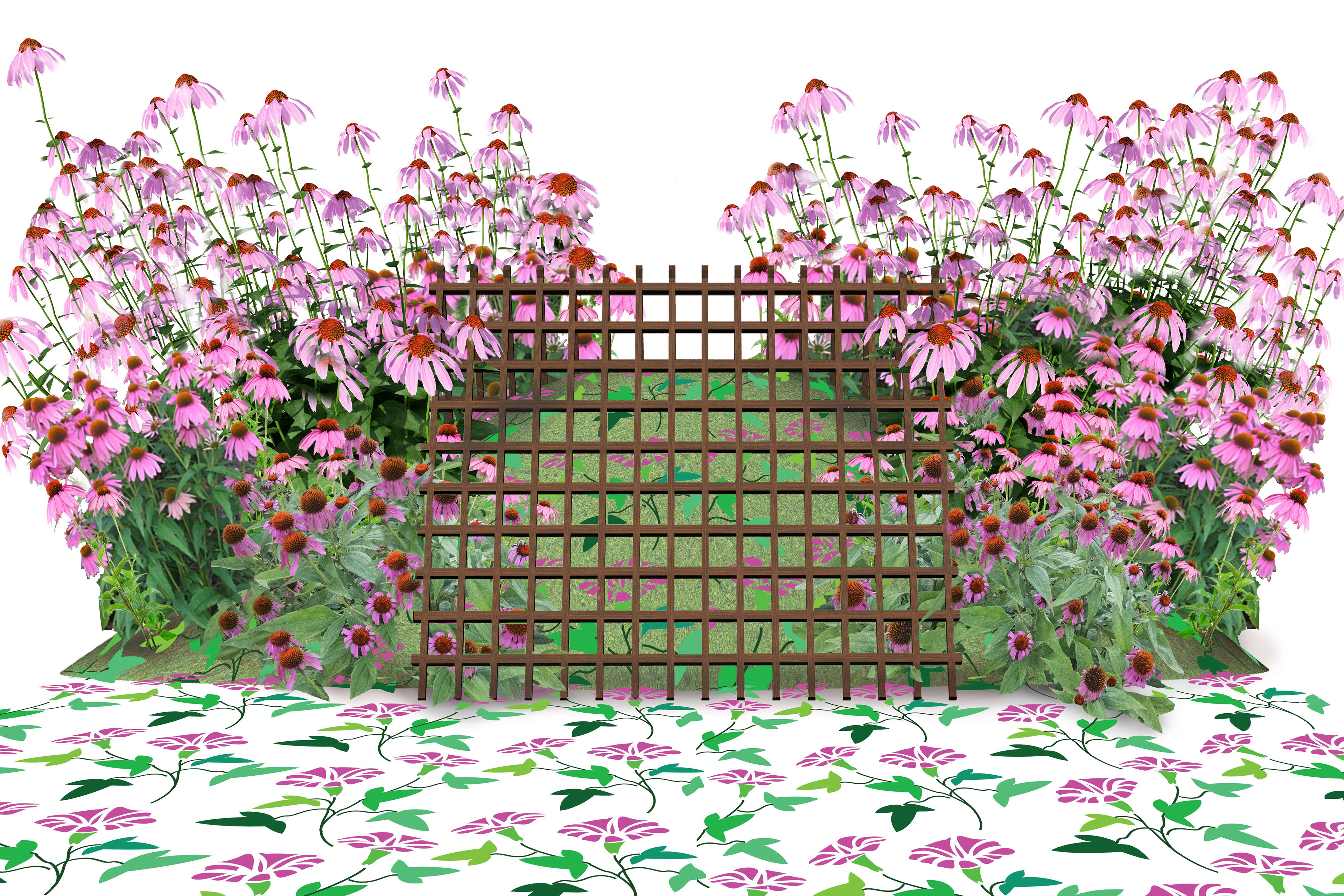 Mound/Grid with Peonies
