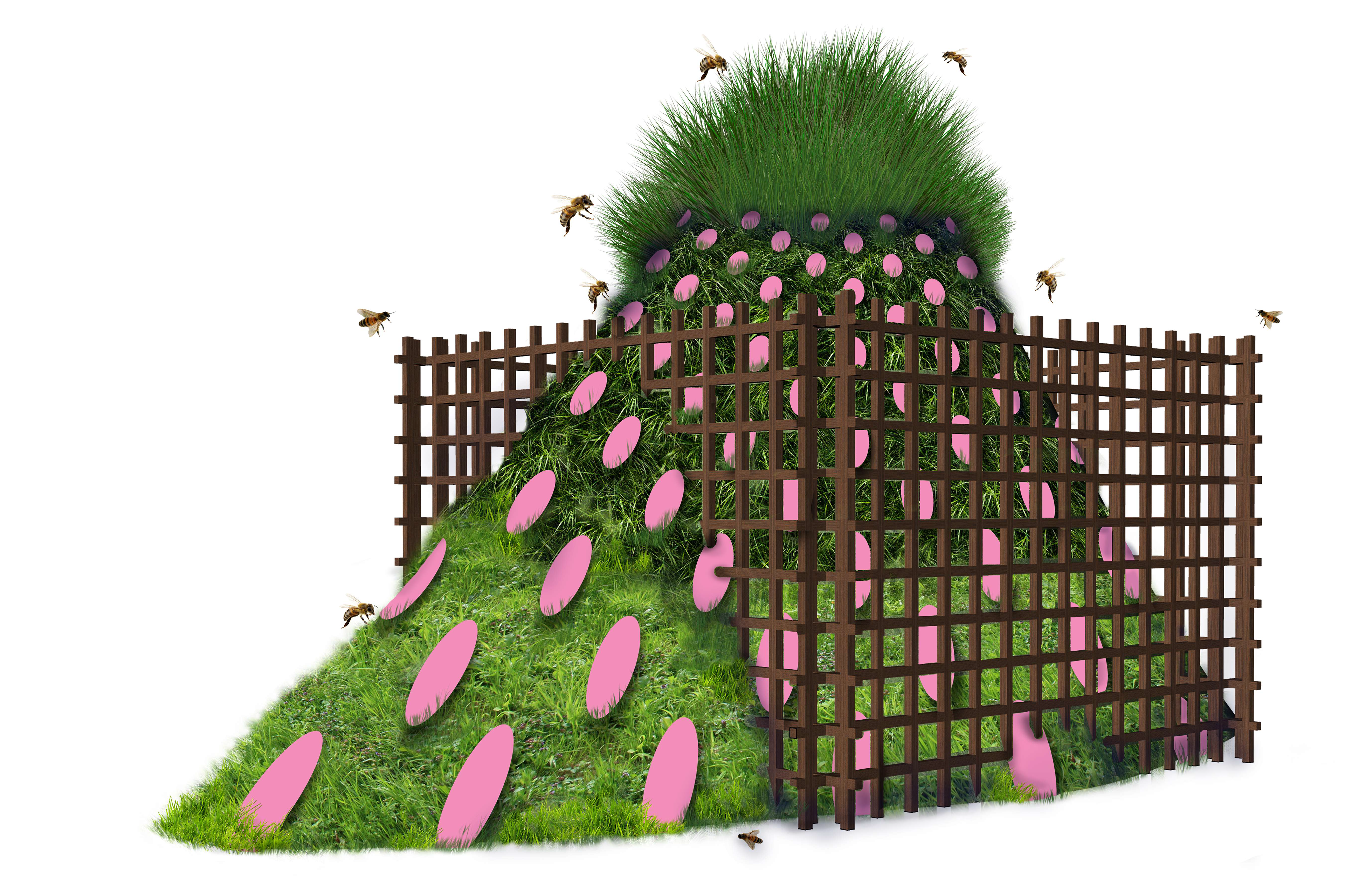 Mounds Dots Pink