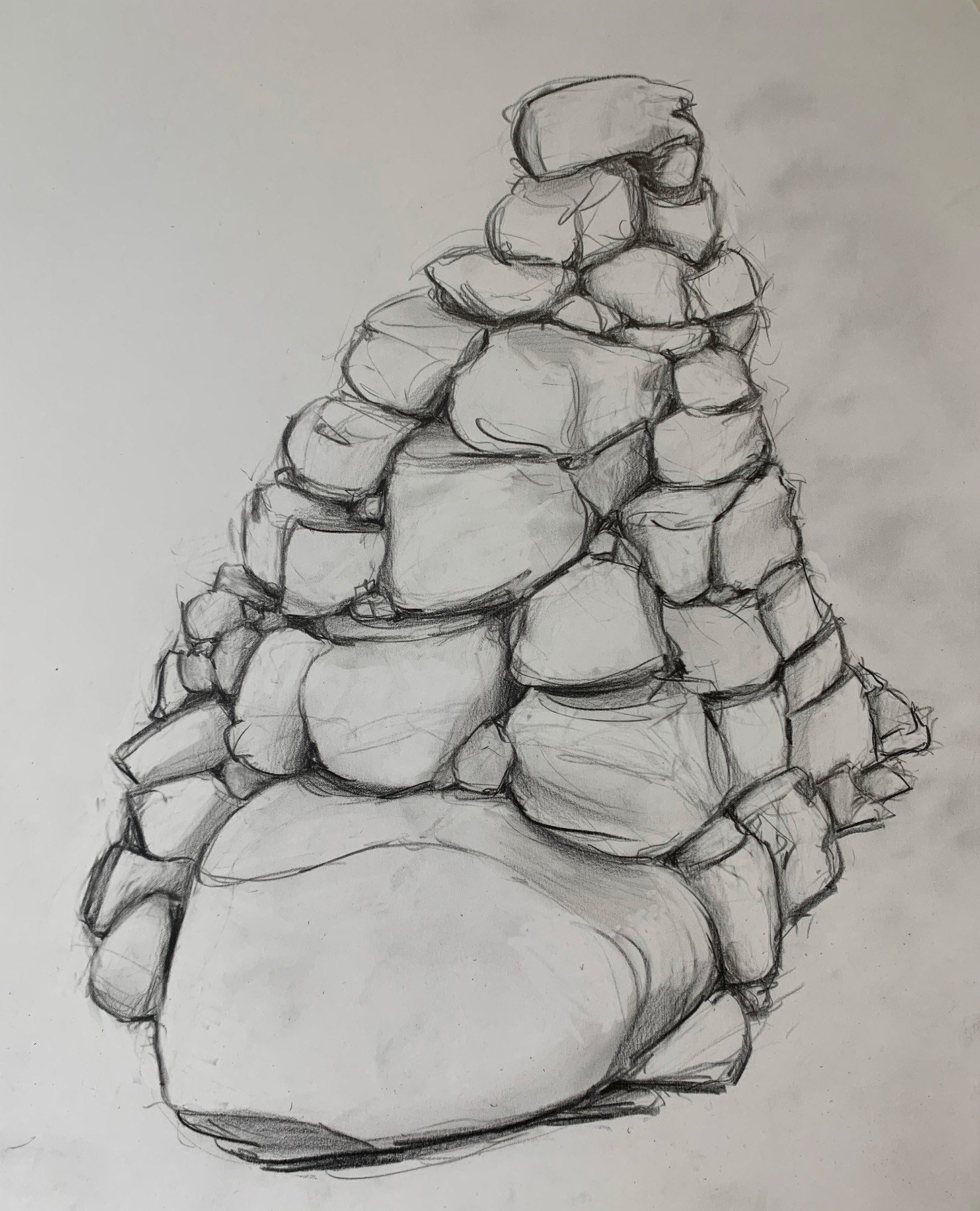 Terrain 46