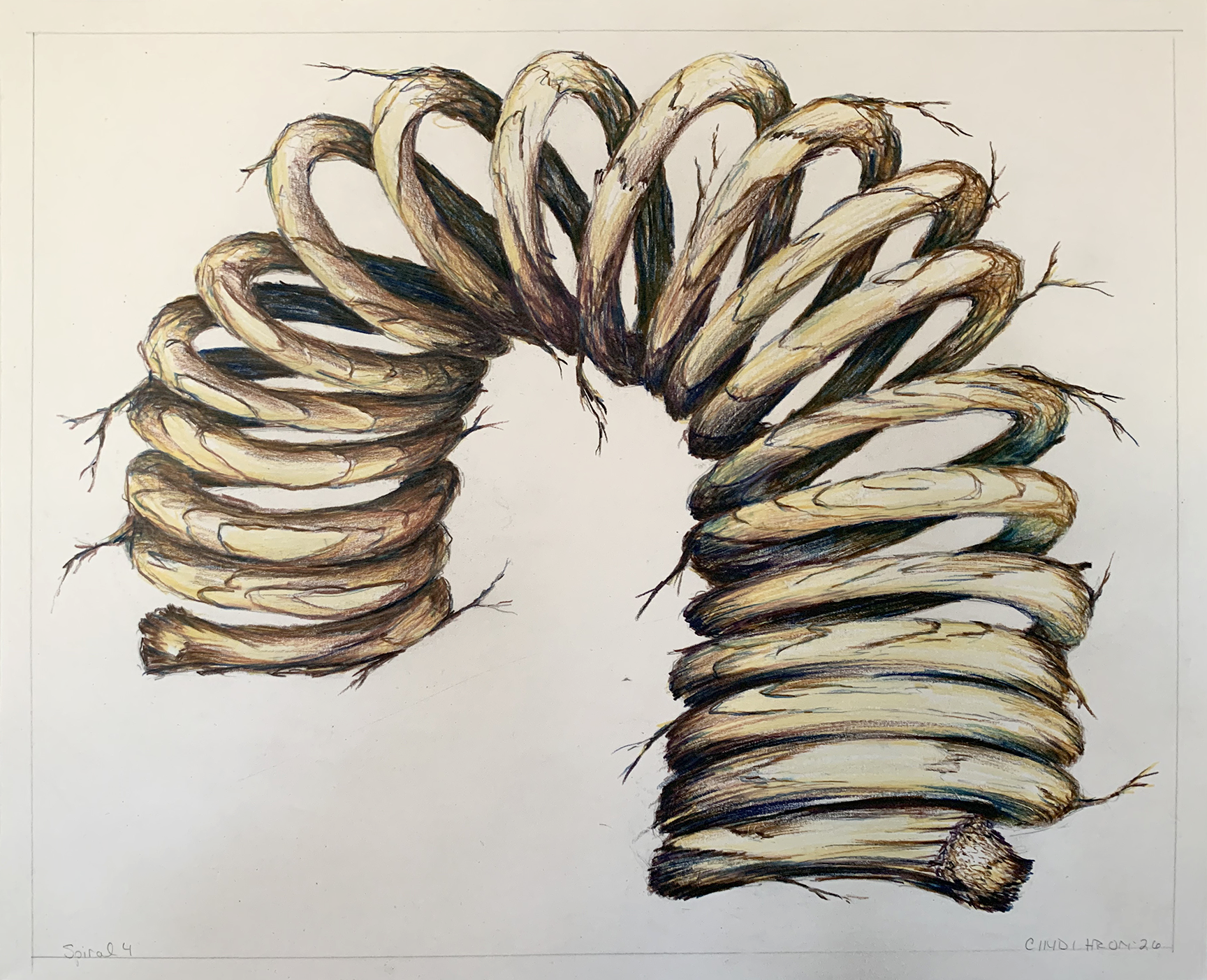 Spiral 4
