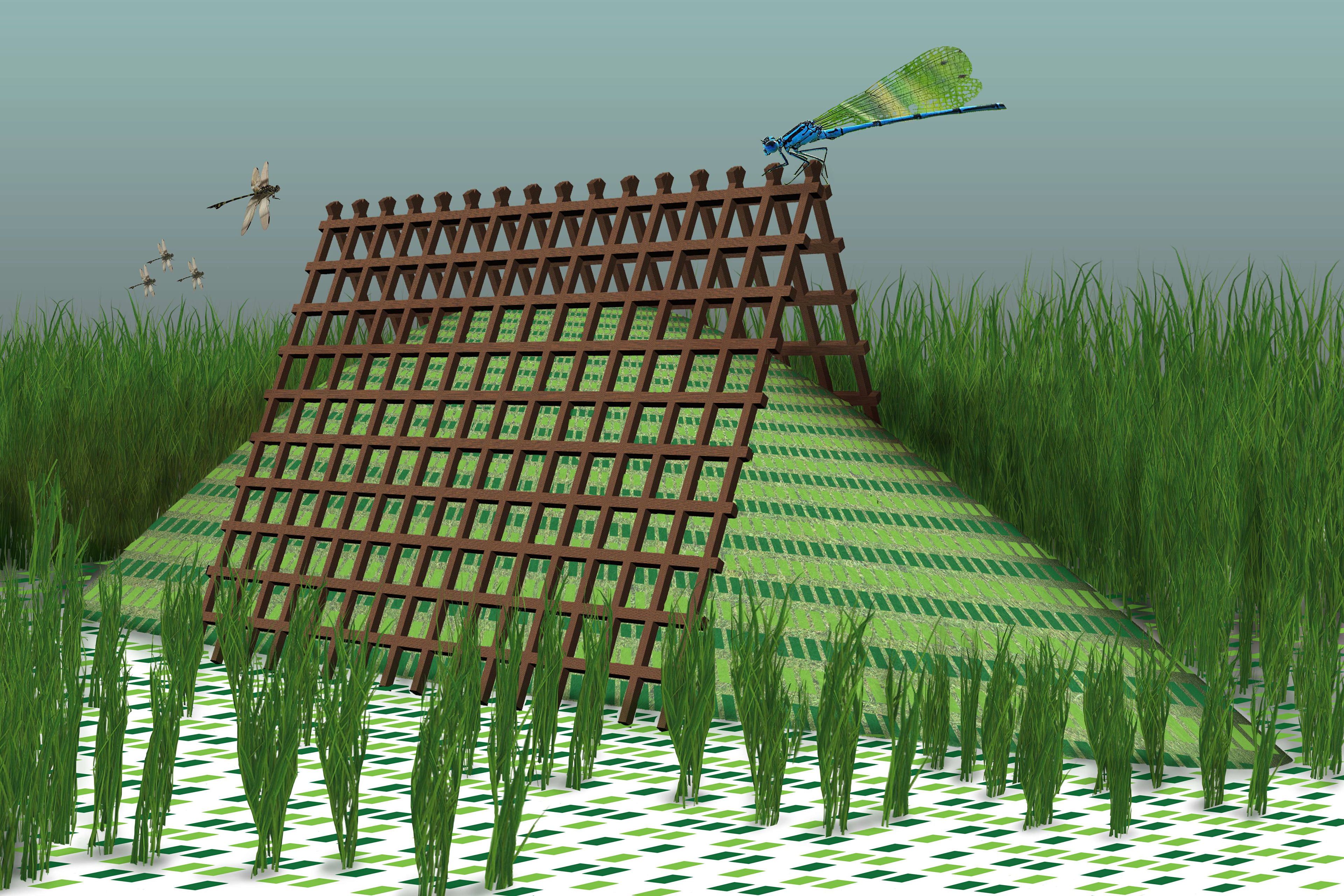 Mound/Grid with Dragonfly