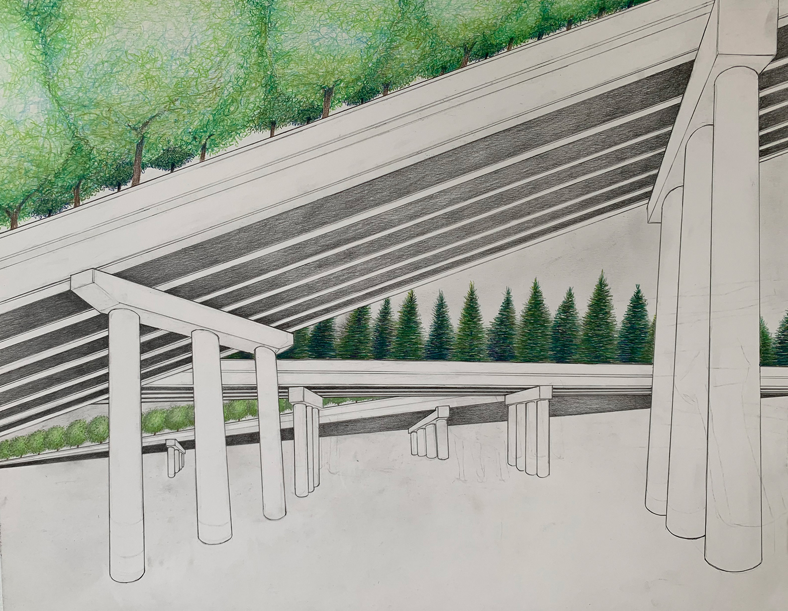 Highway Trees 1