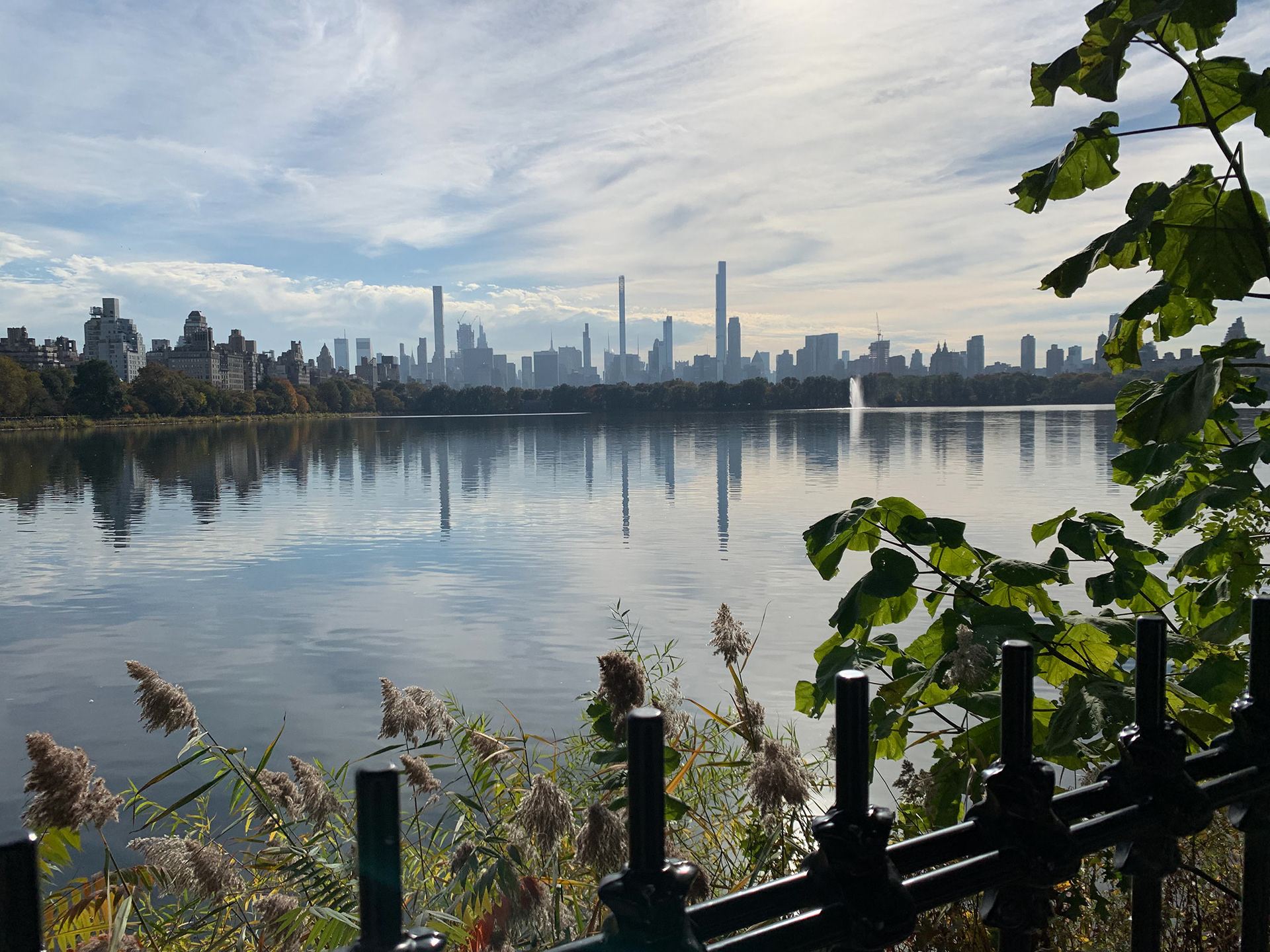 Central Park, NYC