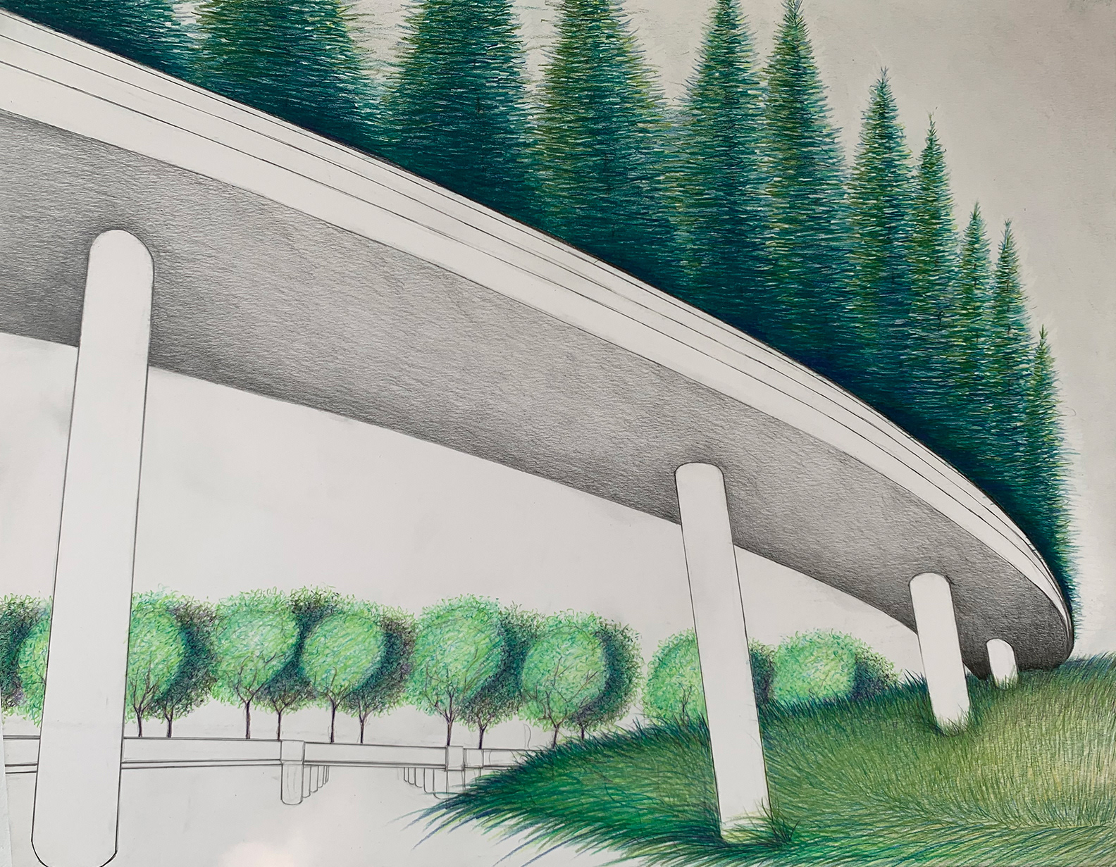 Highway Trees 2