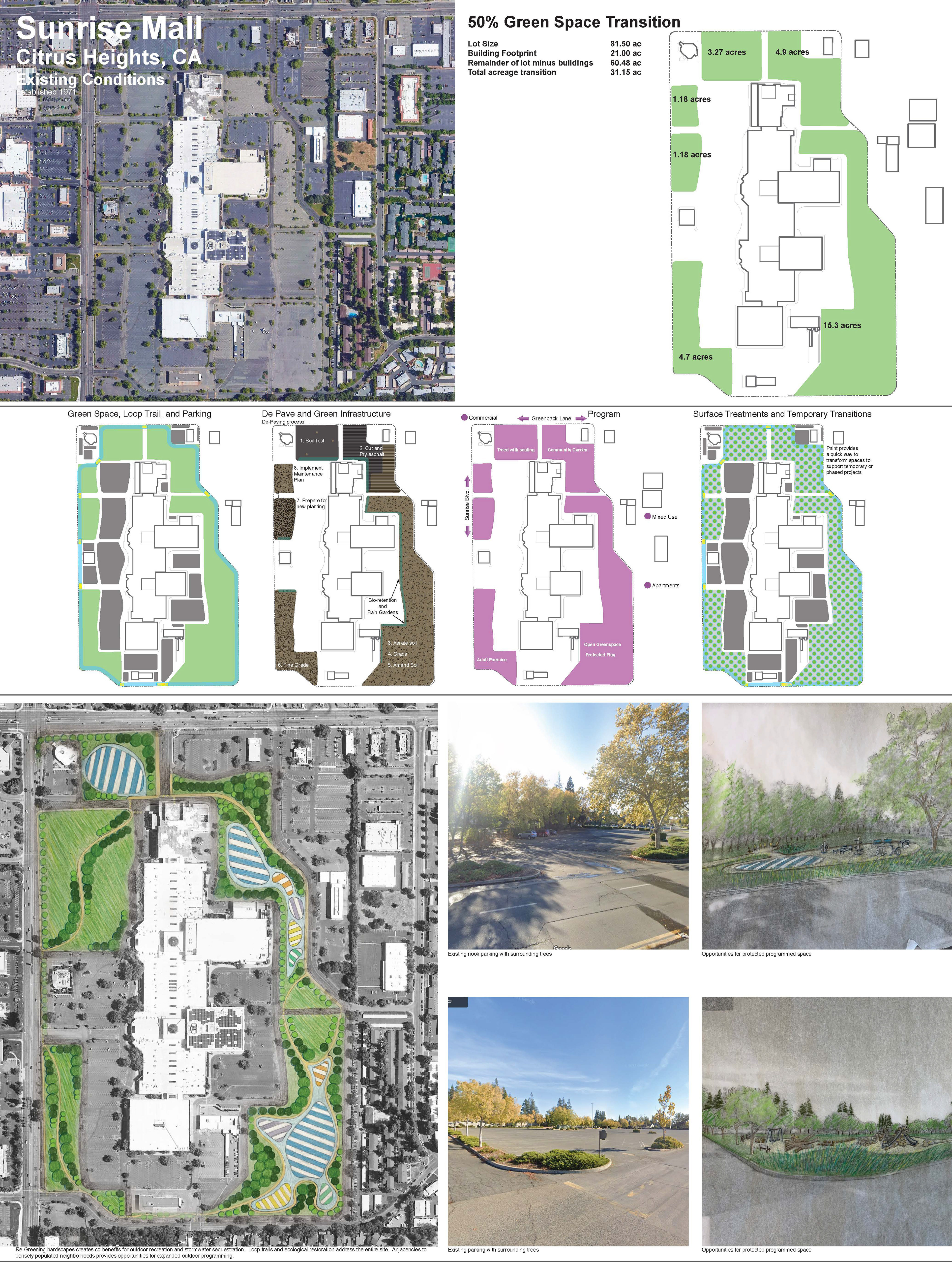 50% Re-Greening Sunrise Mall