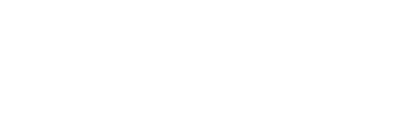 Nicole Chang Professional Harpist Logo. Text logo for harp.
