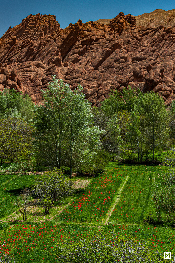 Gorges du Dadès, Haut-Atlas © Yan Martin