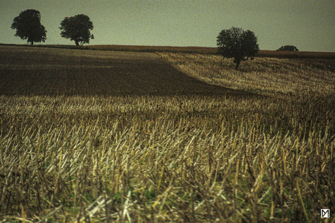 Maine-et-Loire © Yan Martin