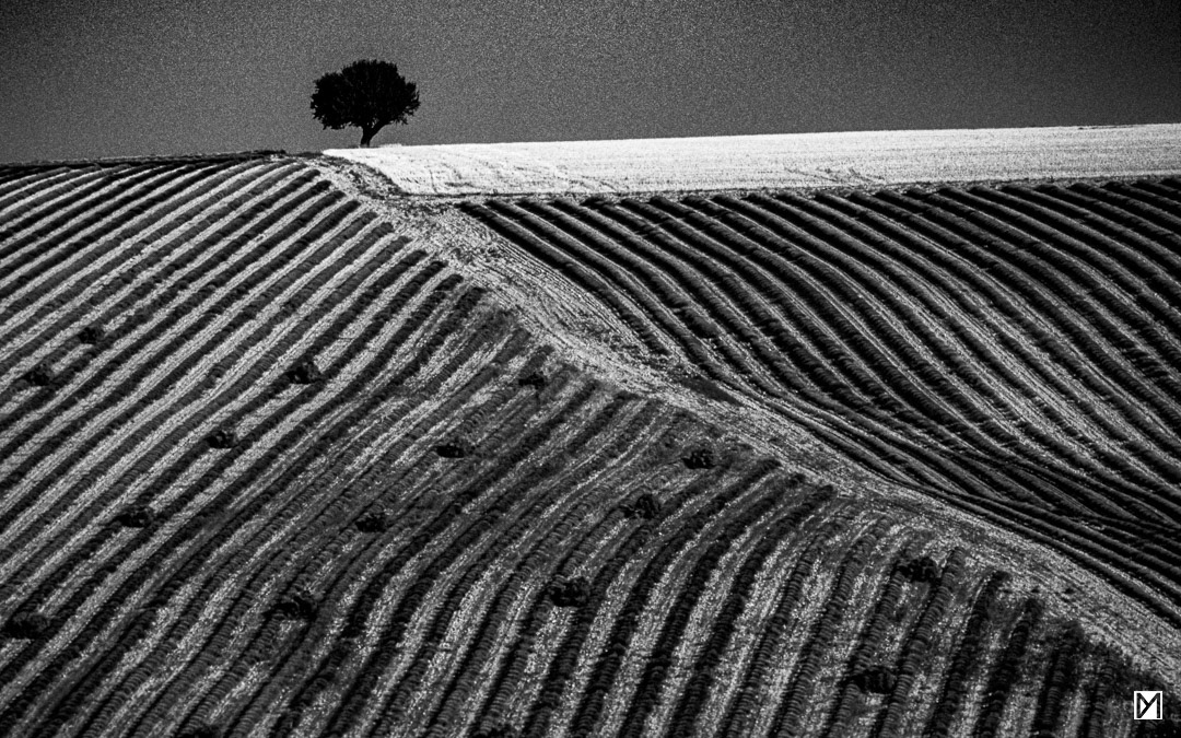 Valensole, Alpes-de-Haute-Provence © Yan Martin