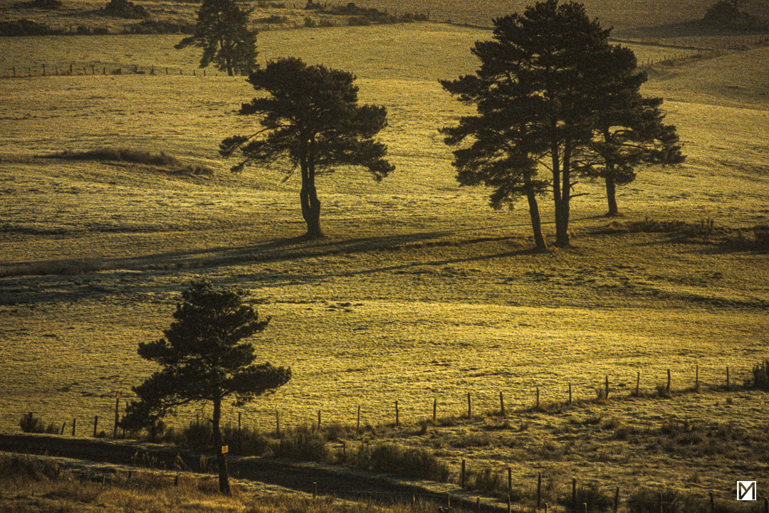 Nasbinals, Lozère © Yan Martin
