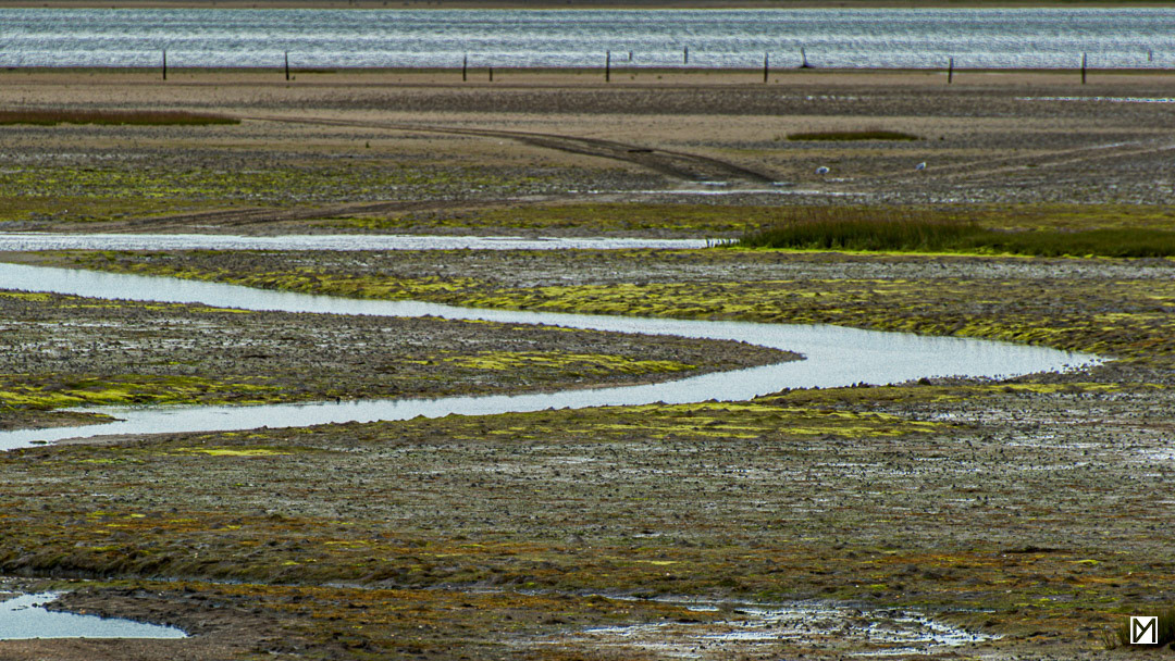 Loire-Atlantique © Yan Martin