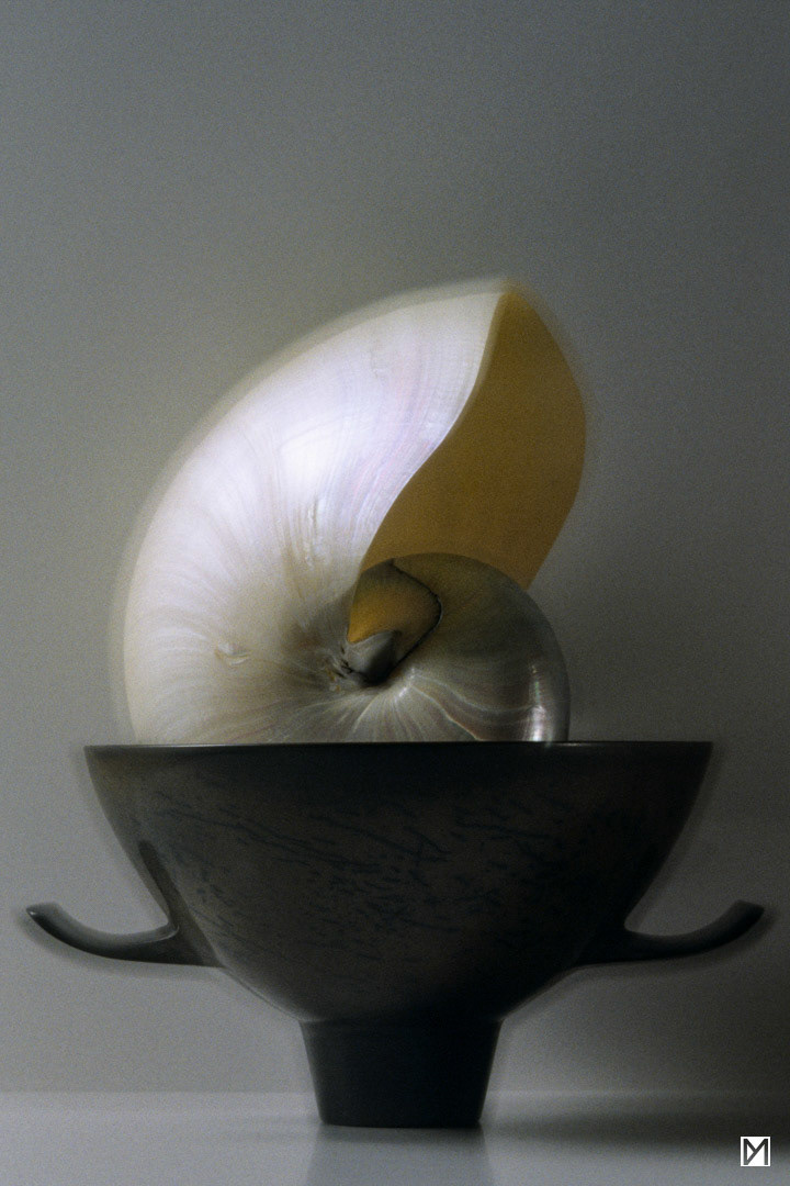 Nautilus © Yan Martin