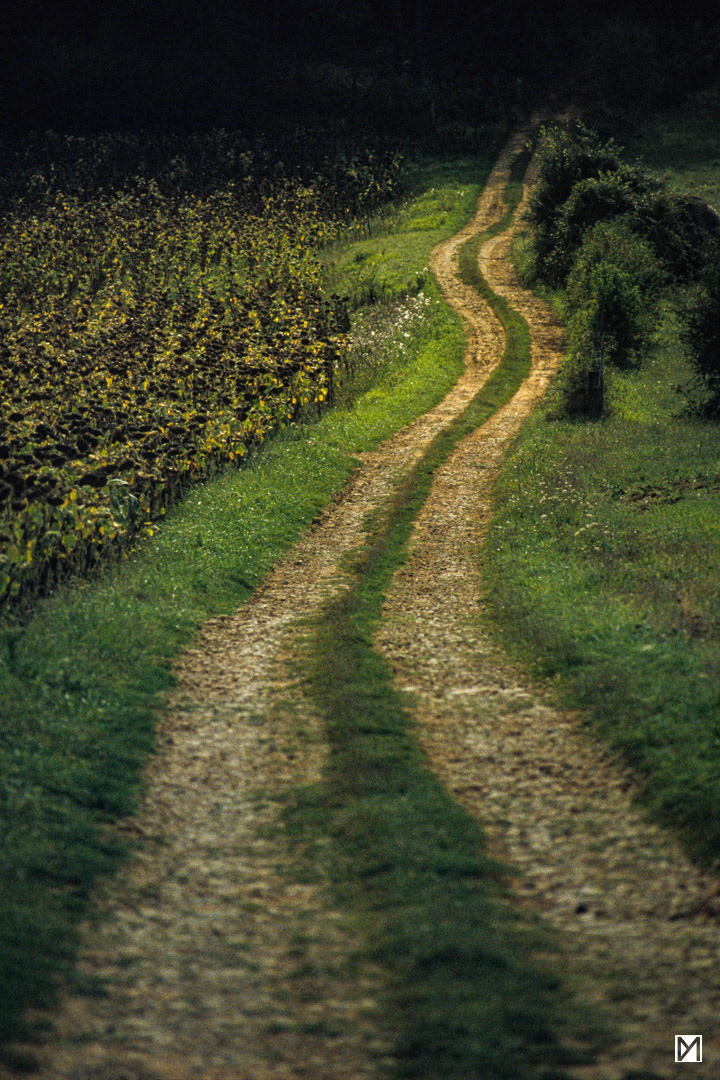 Dordogne © Yan Martin