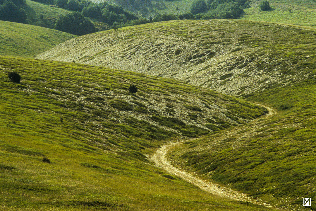 Montagne de Lure, Alpes-de-Haute-Provence © Yan Martin