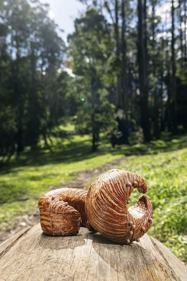 Margaret Lester Forest Walk