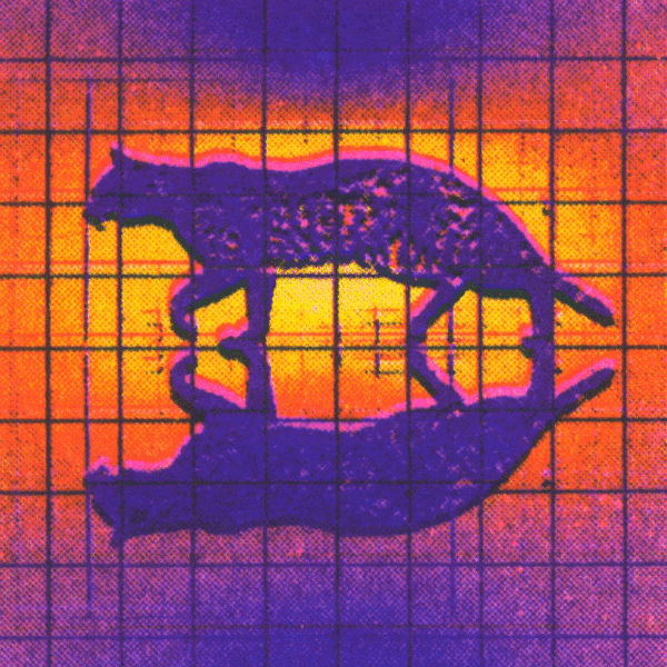 Fig. 10 Existence