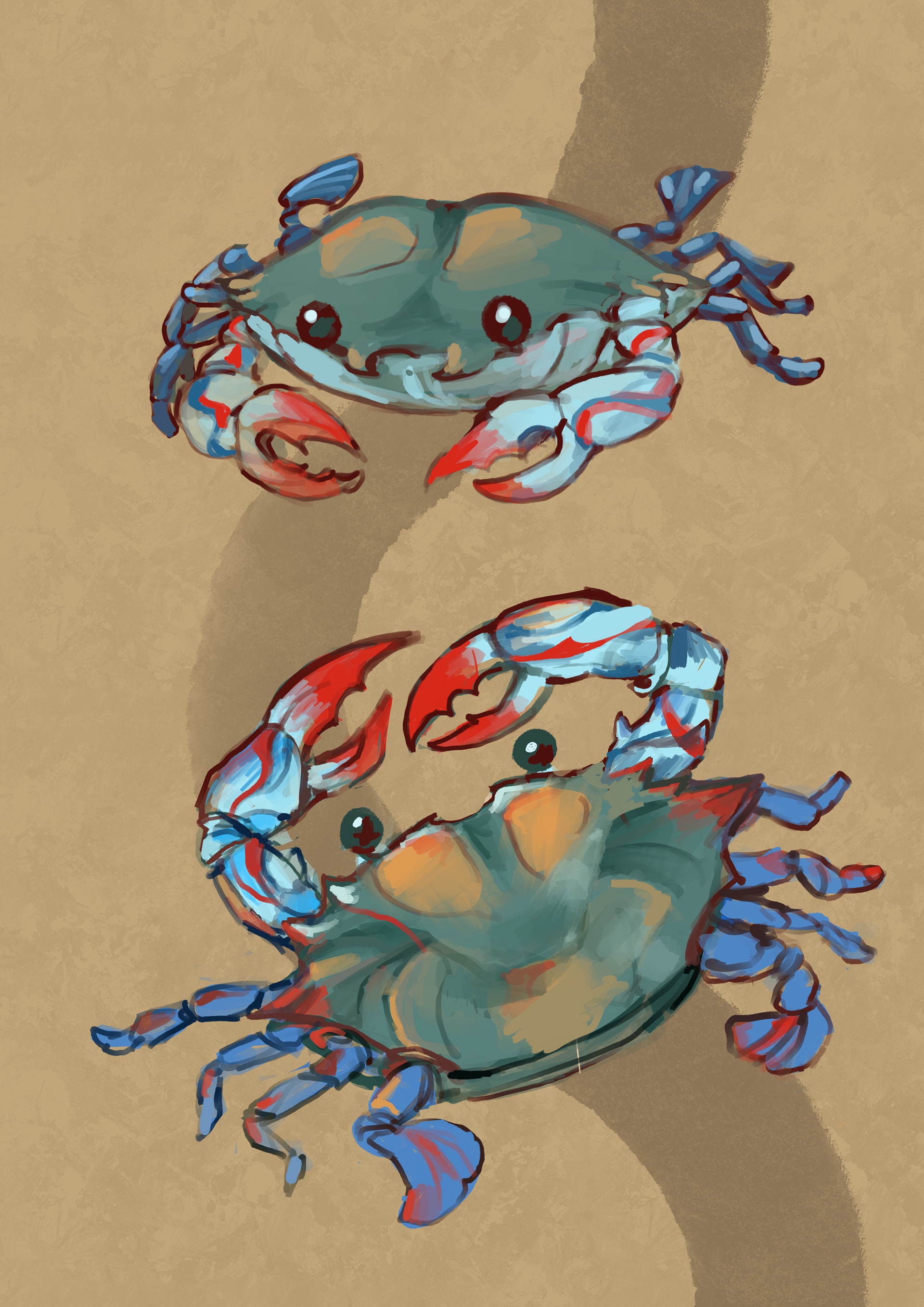 Blue Crab Decorative art