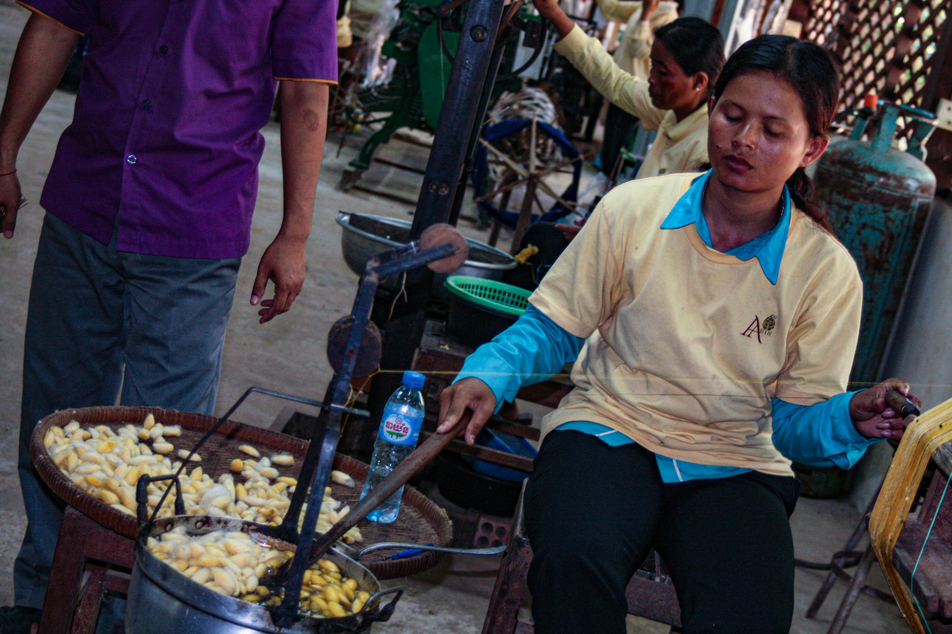 A silk worm factory. Extracting the thread from the cocoons.