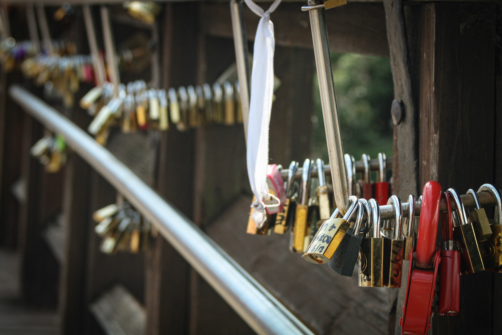 Venice Love Locks on the Ponte dell'Accademia.