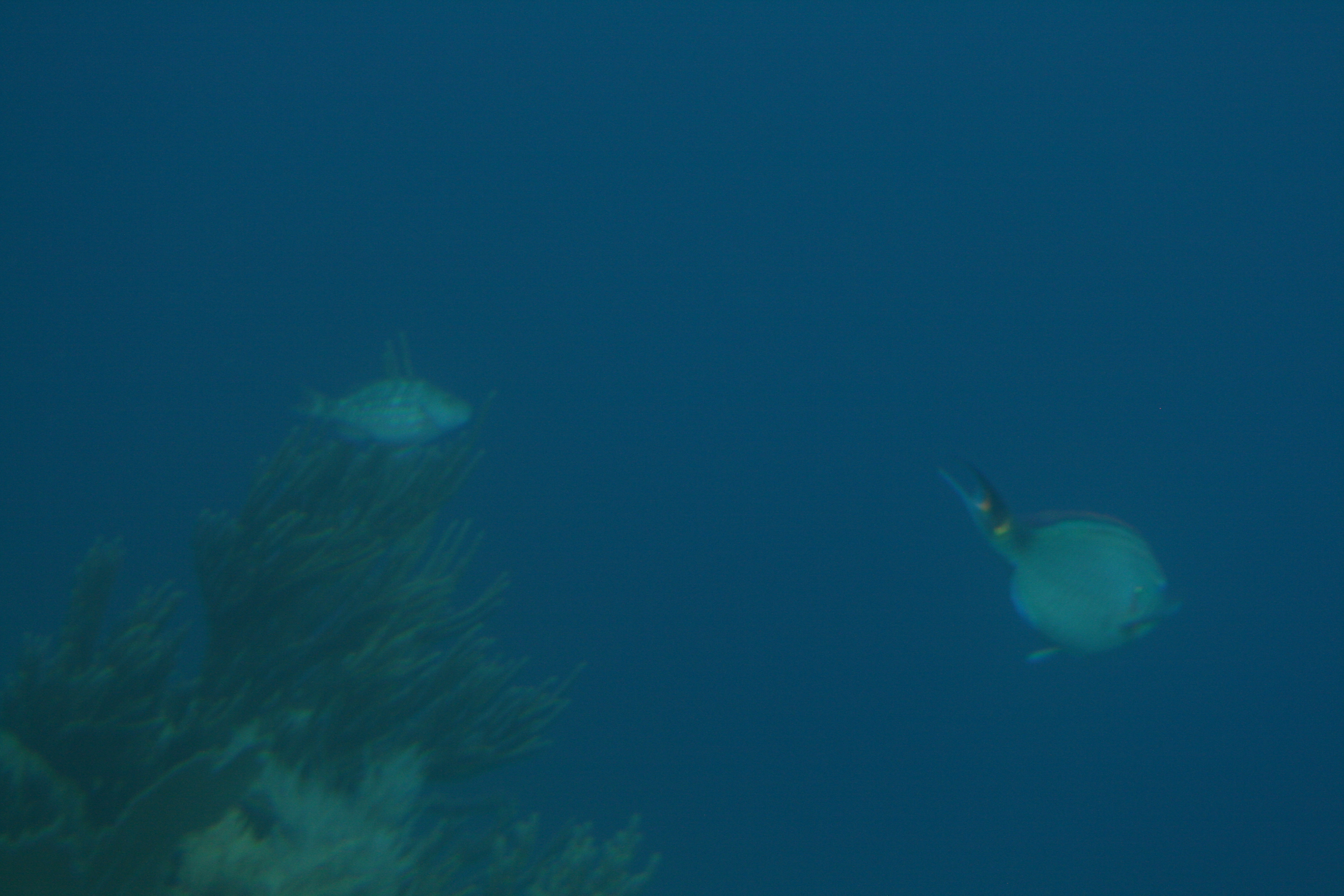 The view underwater!