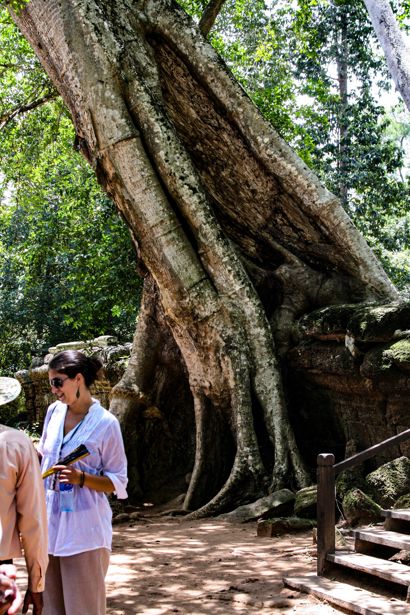 Ta Prohm is a popular attraction of the Angkor temple complex because the archaeologists left it in the state as Henri Mouhot and Frenchhis expedition companions found him in the depths of the primeval forest at the very beginning of the 1860s.   