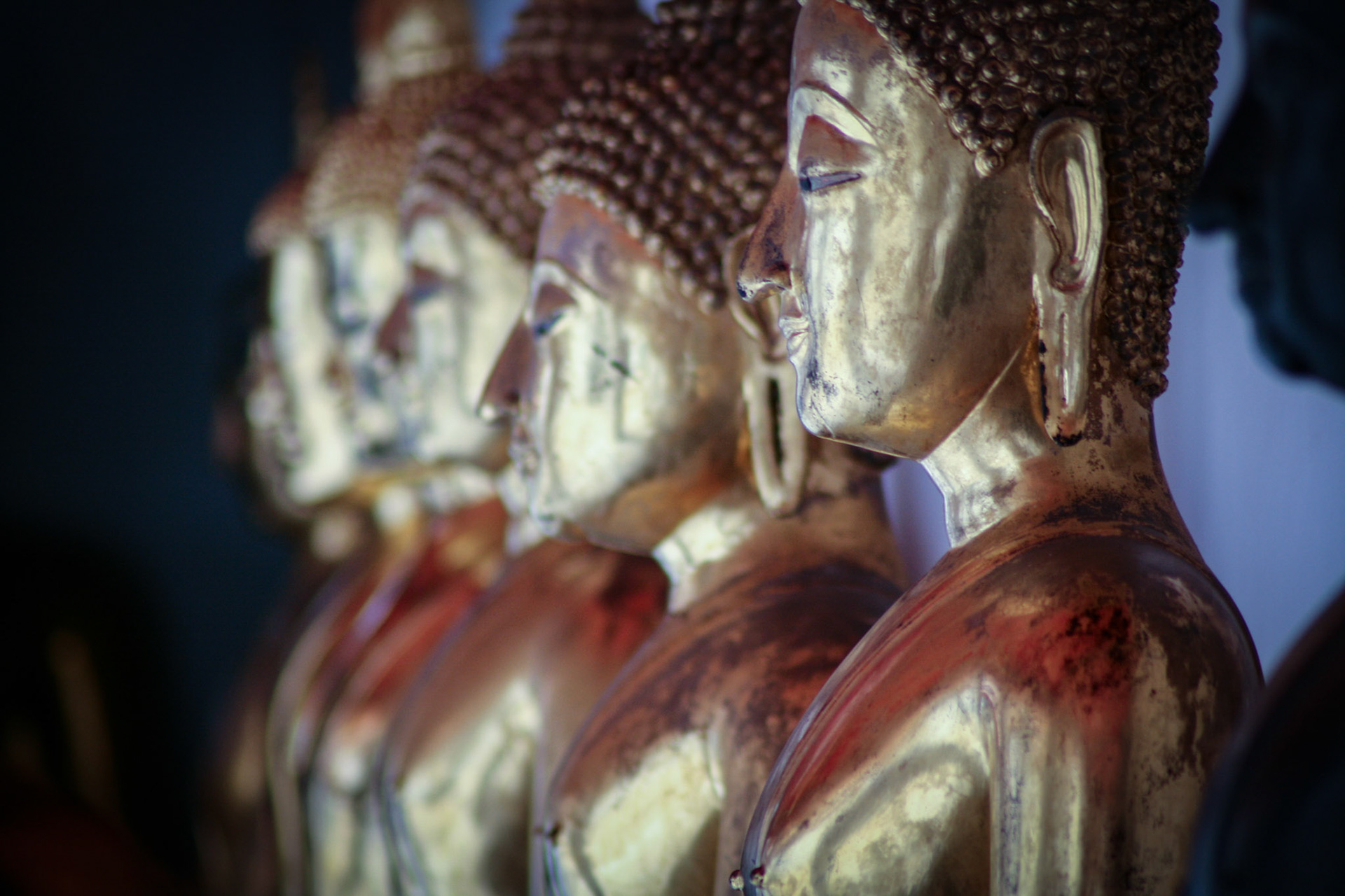 Row of Buddha statues lined up at Wat Pho in Bangkok, Thailand.