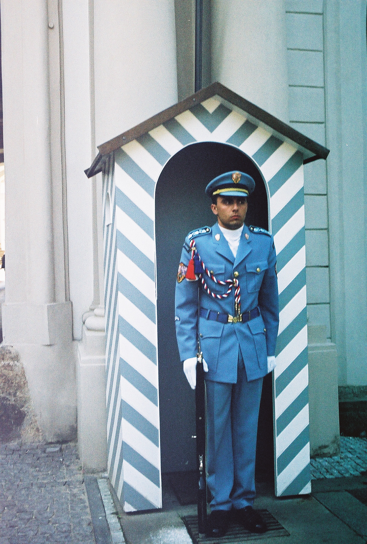  Castle Guard servicemen are selected and supplemented from the ranks of the Army of the Czech Republic (ACR) or recruited under specific criteria. 