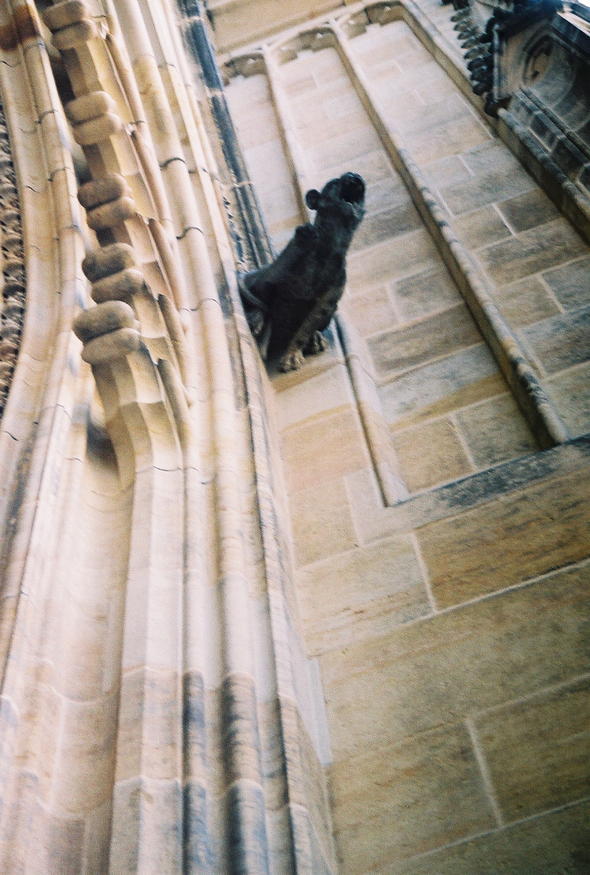  Saint Vitus Cathedral -  Gargoyle