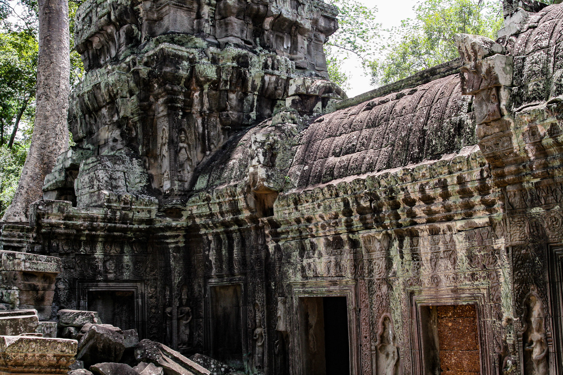 Ta Prohm does not have as many narrative bas-reliefs as Angkor Wat or Angkor Thom, but some depictions of scenes from Buddhist mythology do remain. The temple also features stone reliefs of devatas (minor female deities), meditating monks or ascetics, and dvarapalas or temple guardians. 