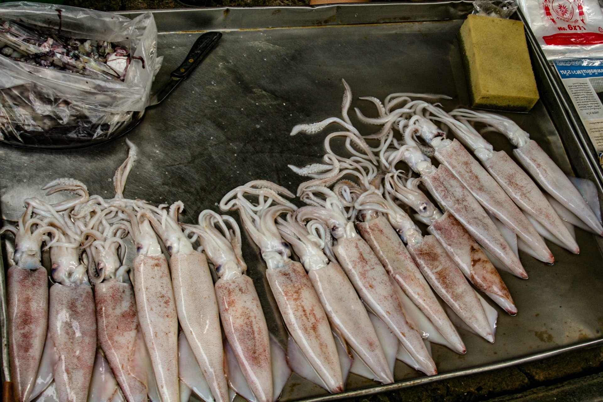 Freshly caught seafood on display.