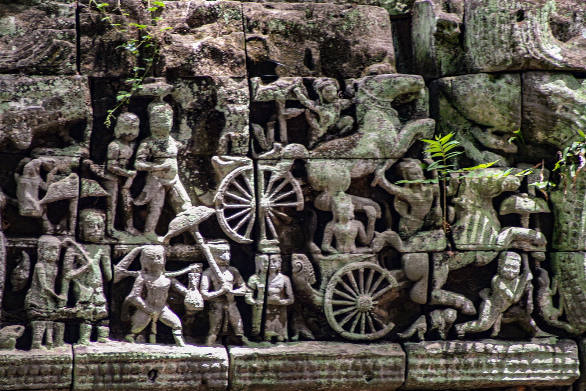 Ancient bas relief sculpture in Ta Prohm, Siem Reap, Cambodia.