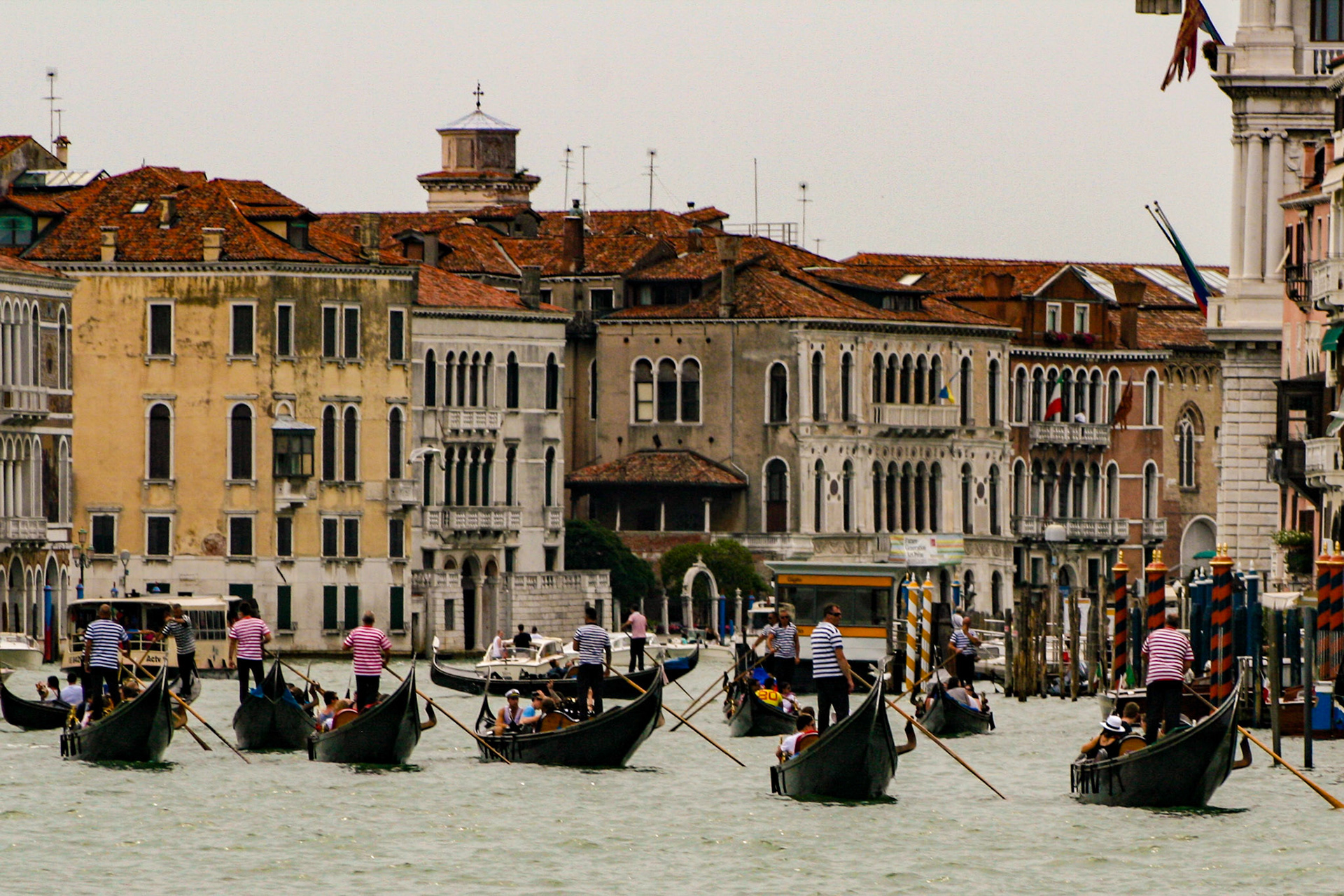 A busy day for Gondoliers on the Grand Canal. - Venice