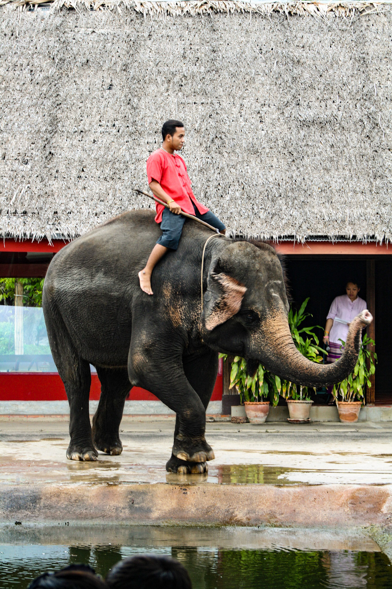 Thai Cultural Show at Rose Garden Sampran, Bangkok 