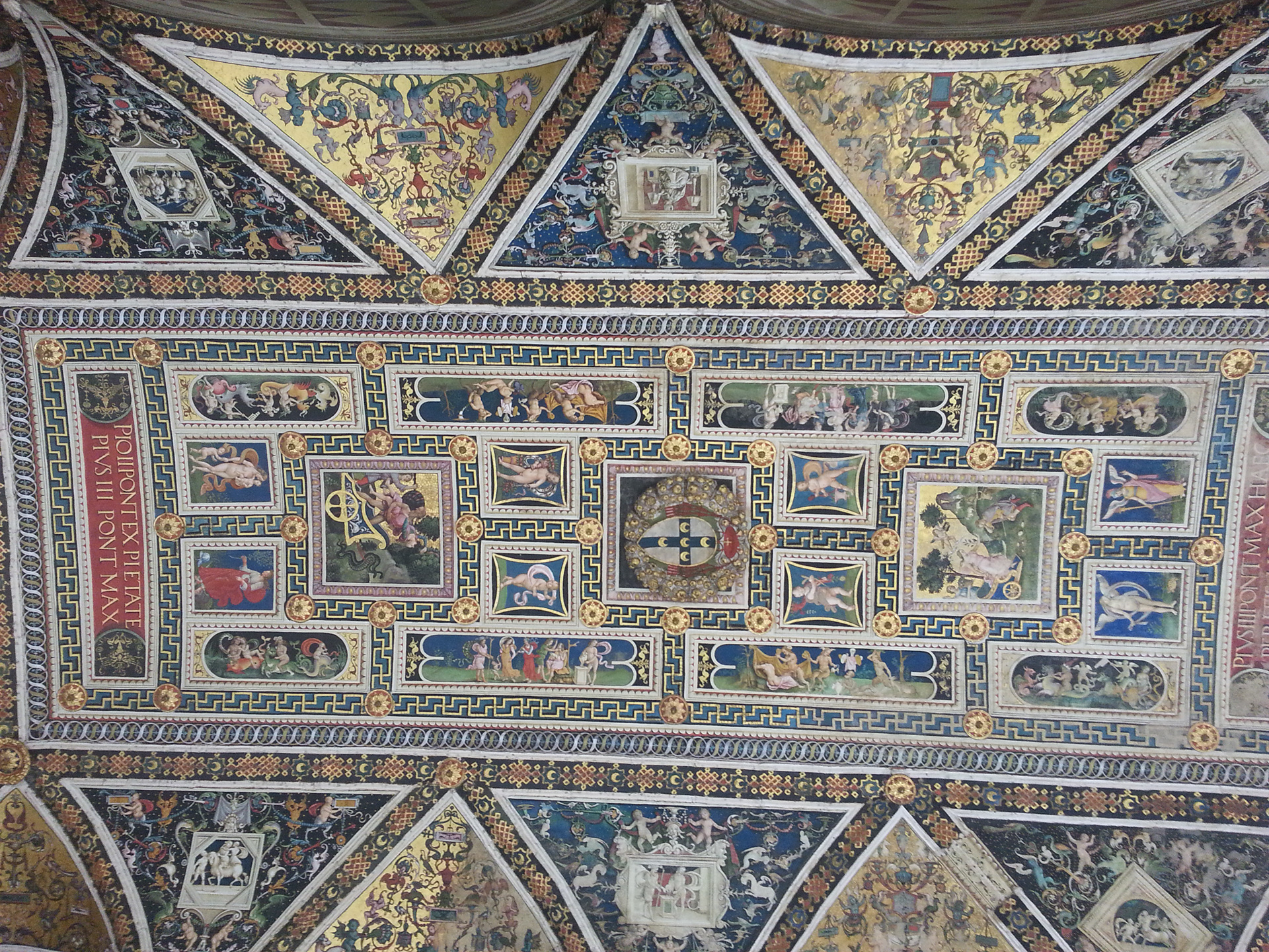 Siena Cathedral has the Piccolomini Library which was built by order of cardinal Francesco Piccolomini. Built adjacent to the Siena Cathedral, the library contains over 200 manuscripts housed in Siena Cathedral, some of which date back to the 12th century.  