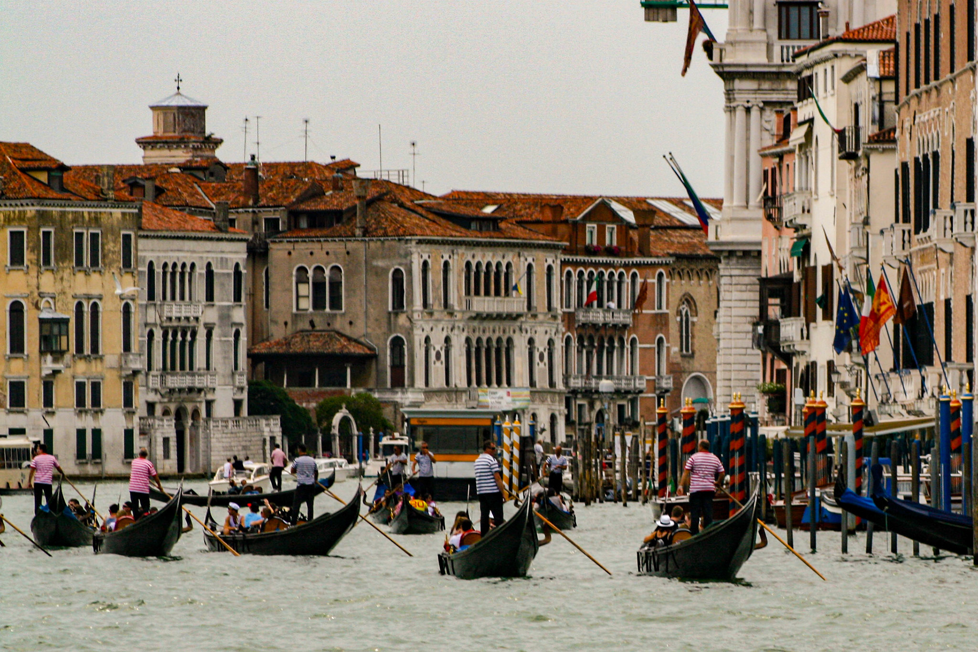 A busy day for Gondoliers on the Grand Canal. - Venice