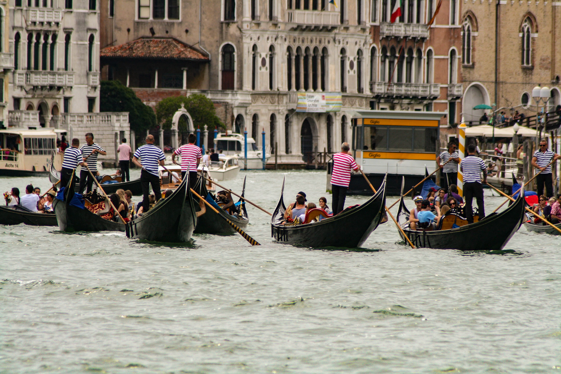 A busy day for Gondoliers on the Grand Canal. - Venice