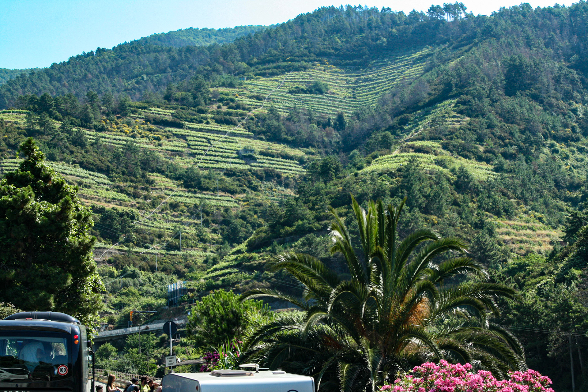 The extensive network of walking trails connecting the five villages of Cinque Terre (Five lands) pass through olive groves and terraced vineyards, with sweeping views of the vast expanse of the Mediterranean below. 