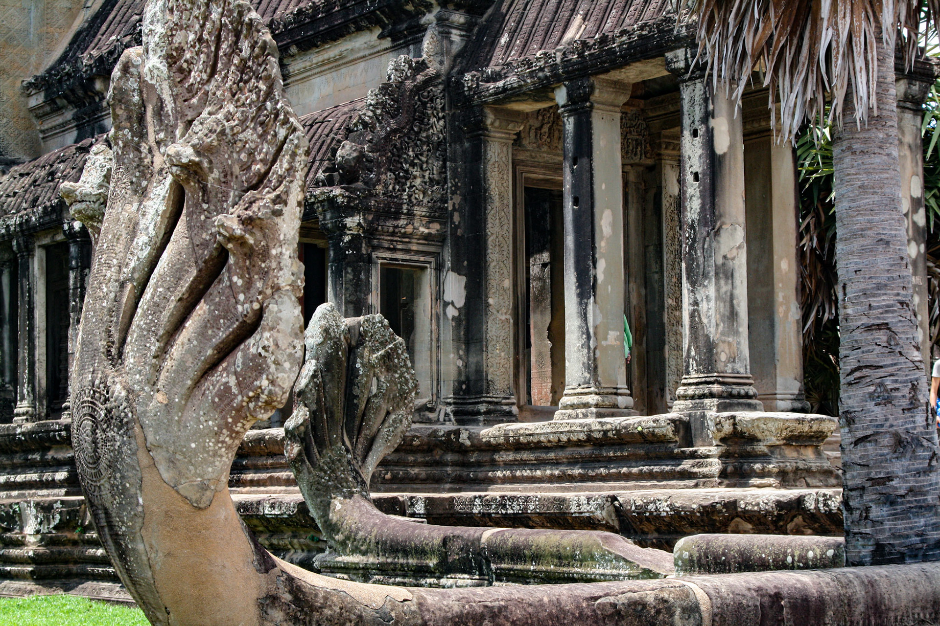 Khmer design elements usually entail sculptures of nagas (snakes) and lions flanking the various causeway entrances, well-turned window balusters, and intricately carved surfaces 