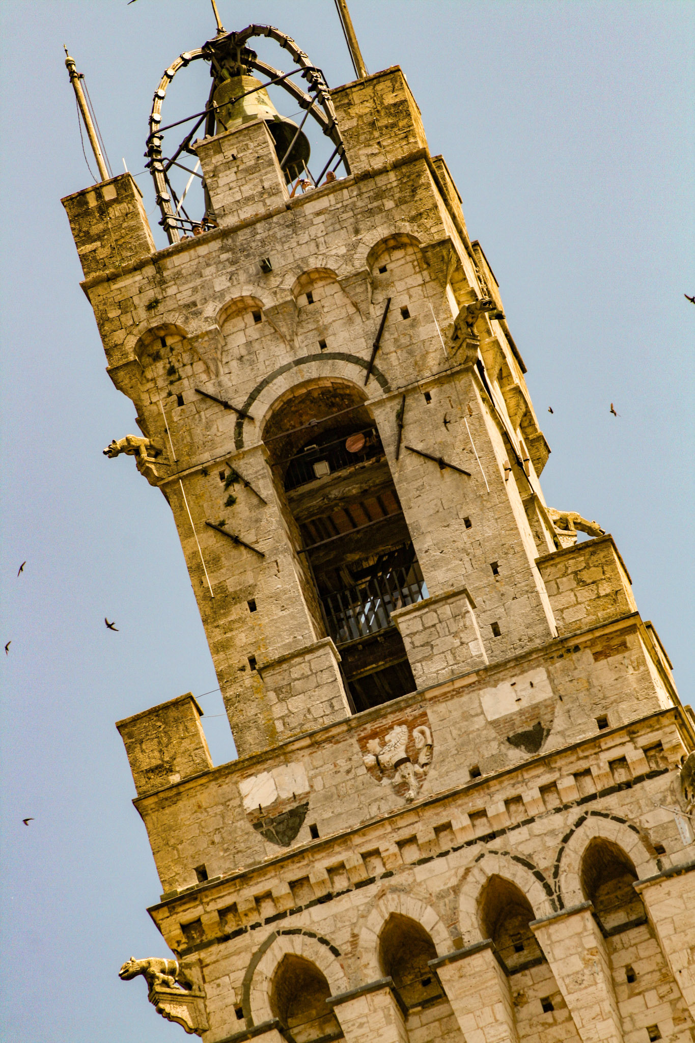 Top of Torre del Mangia tower in Siena, Italy 