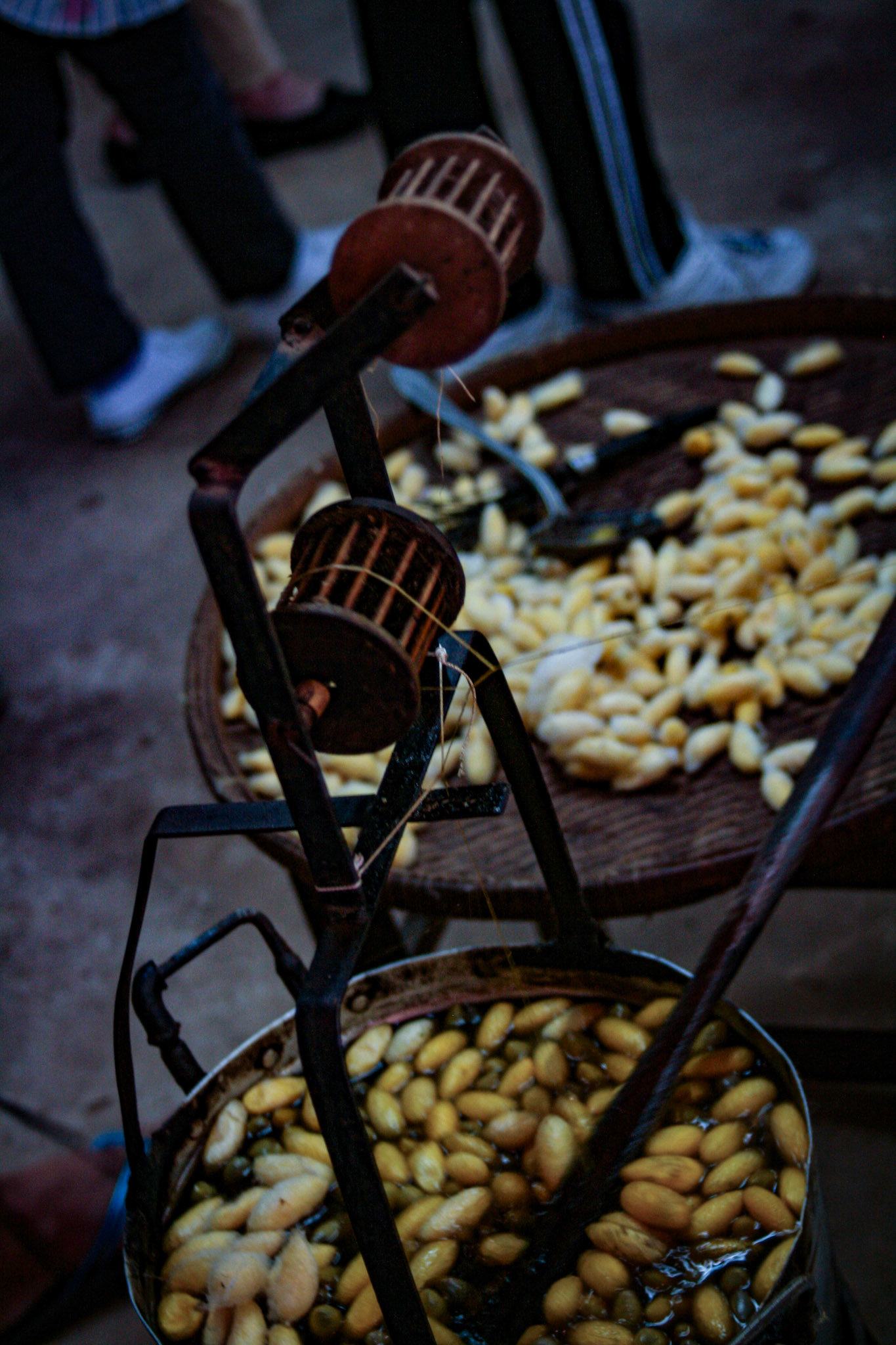 A silk worm factory.