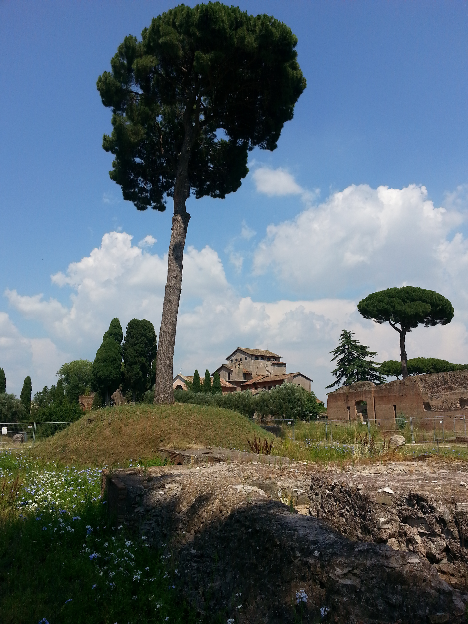 The Church of San Bonaventura al Palatino is a small 17th century church building in Rome built on Via Marco Colidio the Palatine Hill. It is a Franciscan monastery church built by Francesco Barberini on the request of the Blessed Bonaventura Gran and was completed in 1689. 