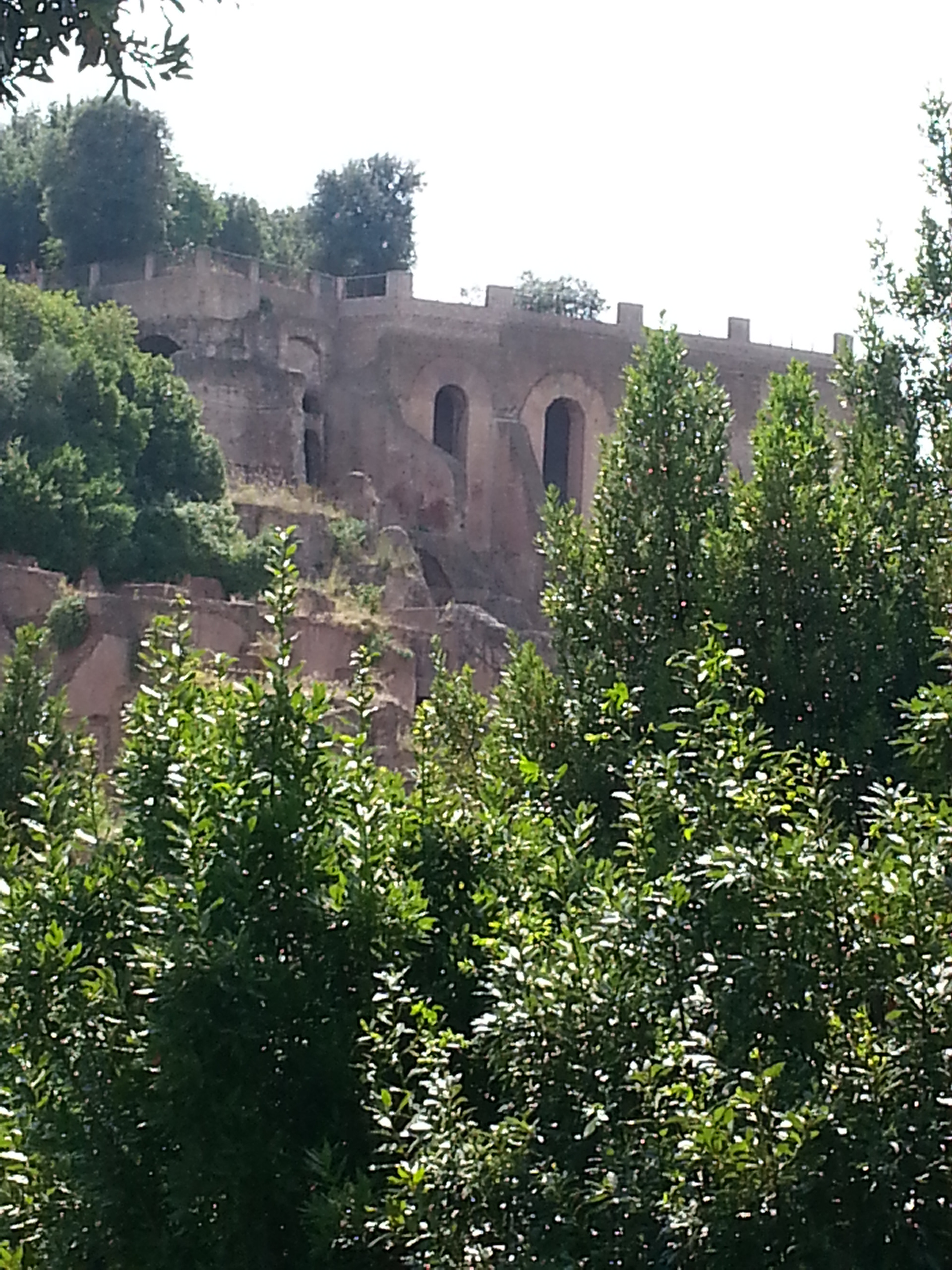 Terrace on Palatine Hill.