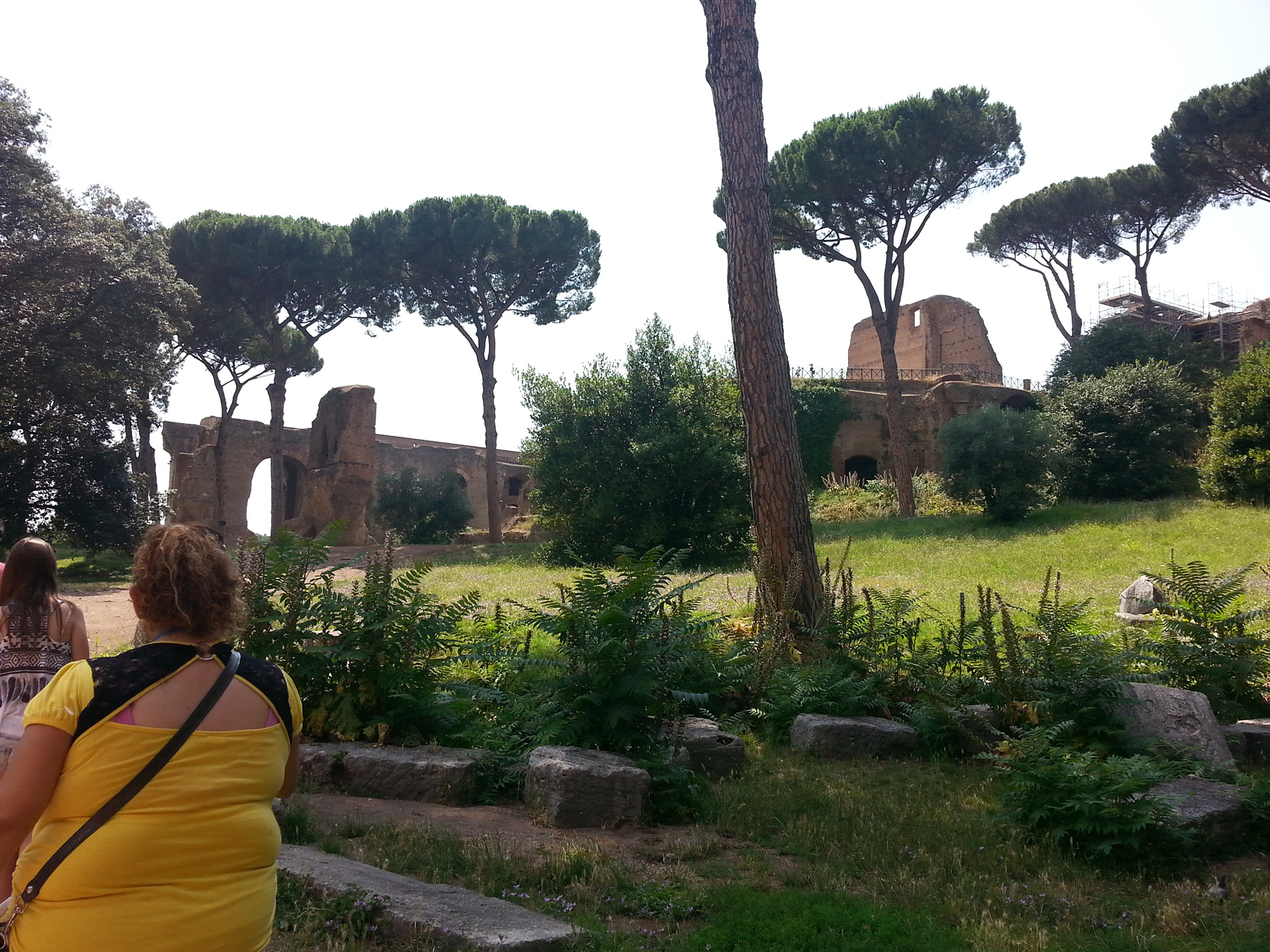 Ancient Roman Ruins At the Palatine Hill, Italy. 