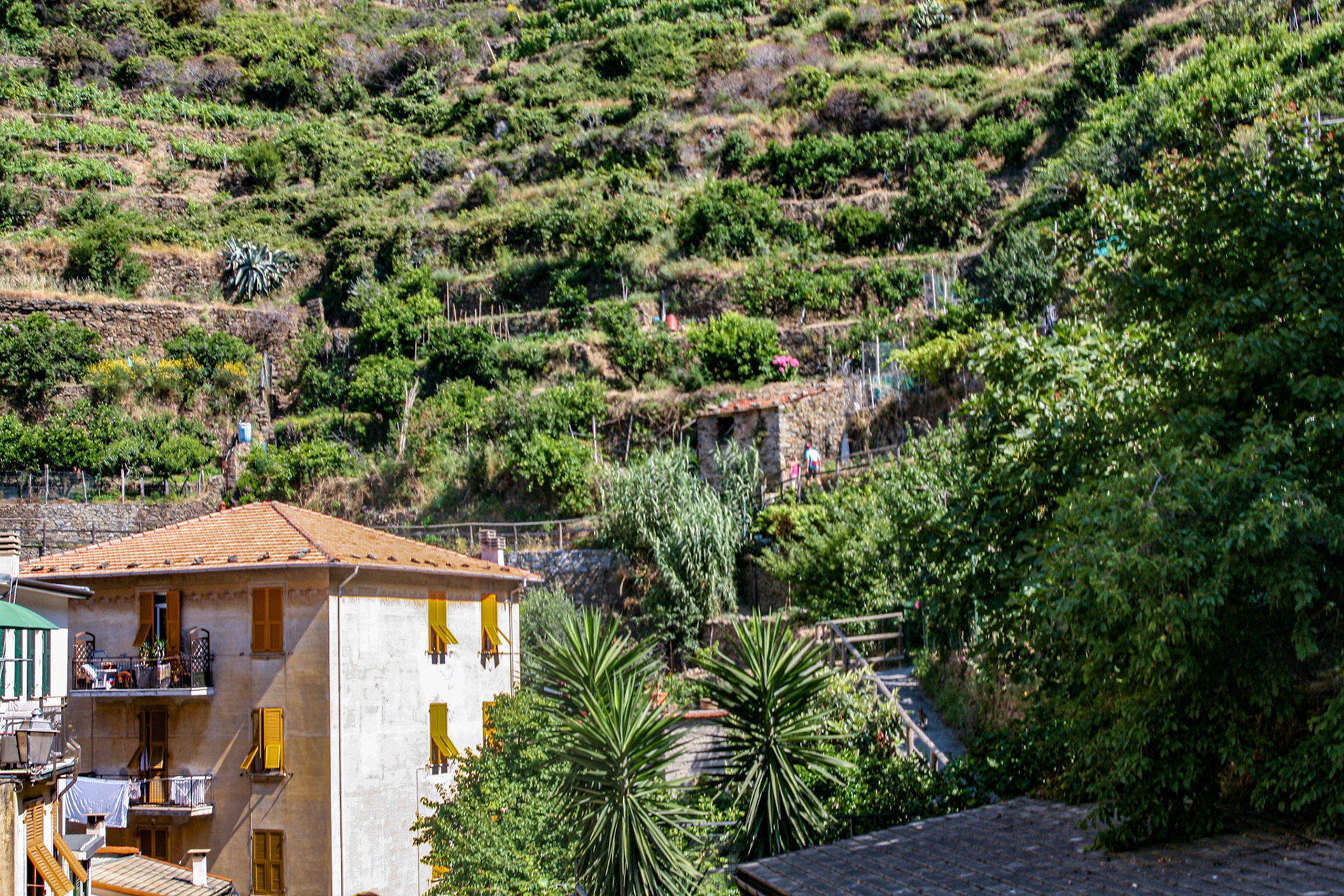 Each village has retained its character and traditions from earlier times, impressively perched between the rocky shoreline and the steep terraced hills. 