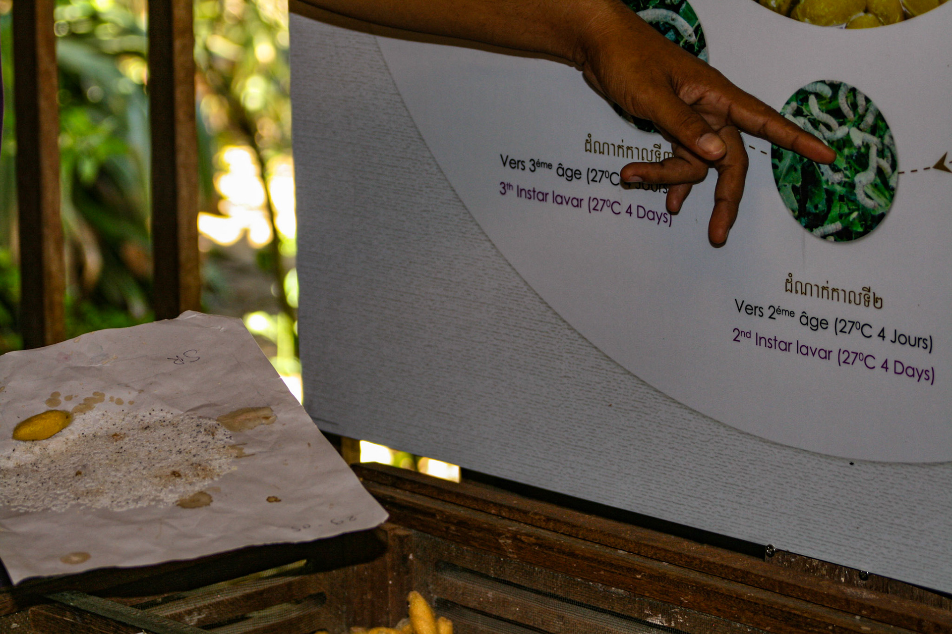 A silk worm factory.